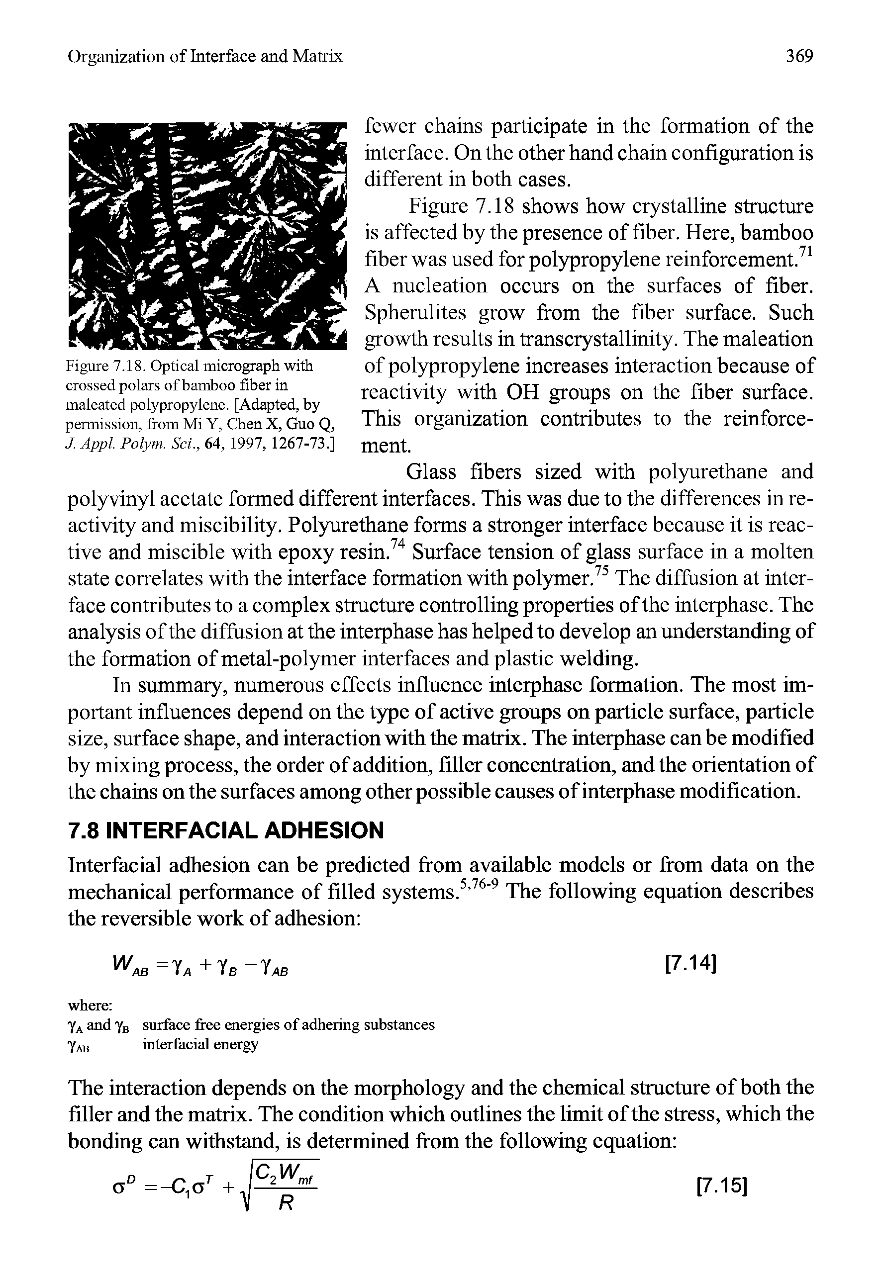 Figure 7.18. Optical micrograph with crossed polars of bamboo fiber in maleated polypropylene. [Adapted, by permission, from Mi Y. Chen X, Guo Q, J. Appl. Polym. Sci., 64, 1997, 1267-73.]...