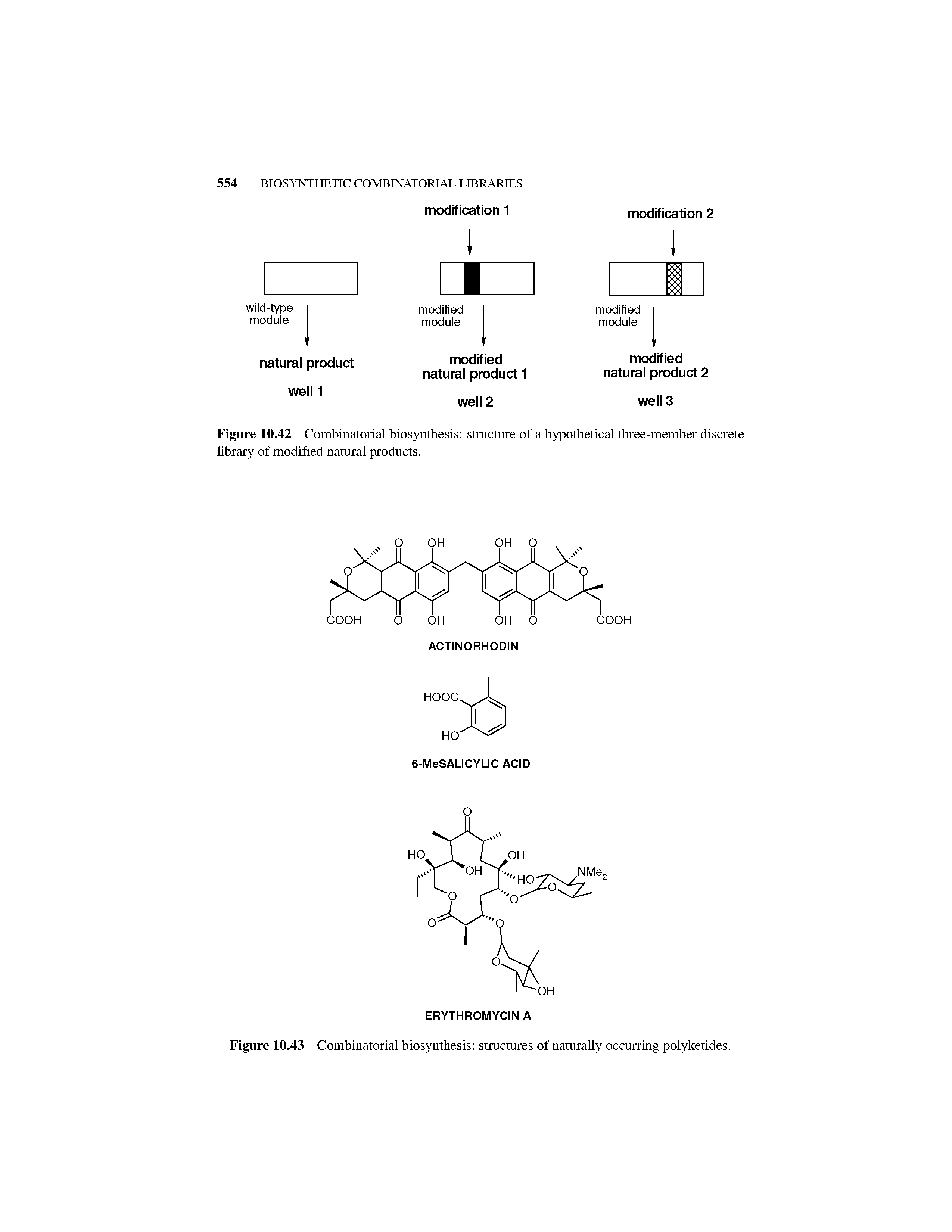 Figure 10.42 Combinatorial biosynthesis structure of a hypothetical three-member discrete library of modified natural products.