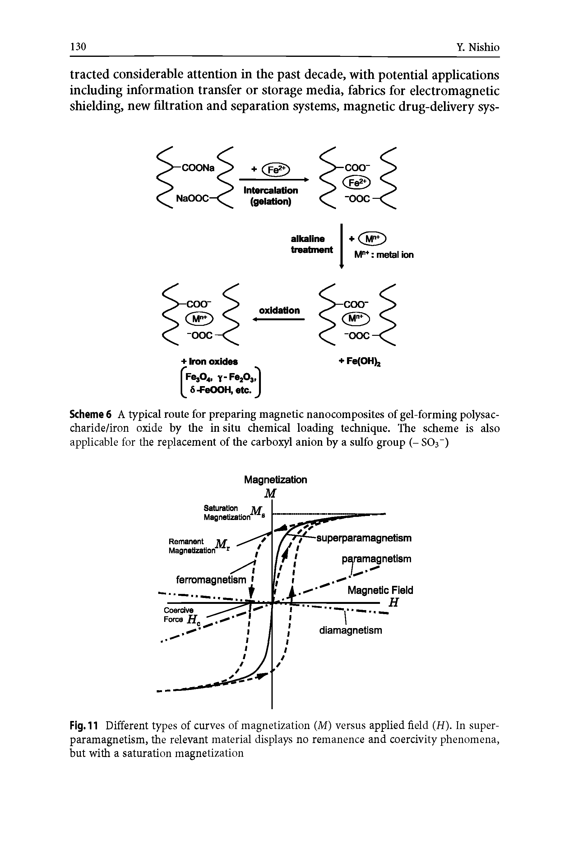 Scheme 6 A typical route for preparing magnetic nanocomposites of gel-forming polysac-charide/iron oxide by the in situ chemical loading technique. The scheme is also applicable for the replacement of the carboxyl anion by a sulfo group (- SC>3 )...