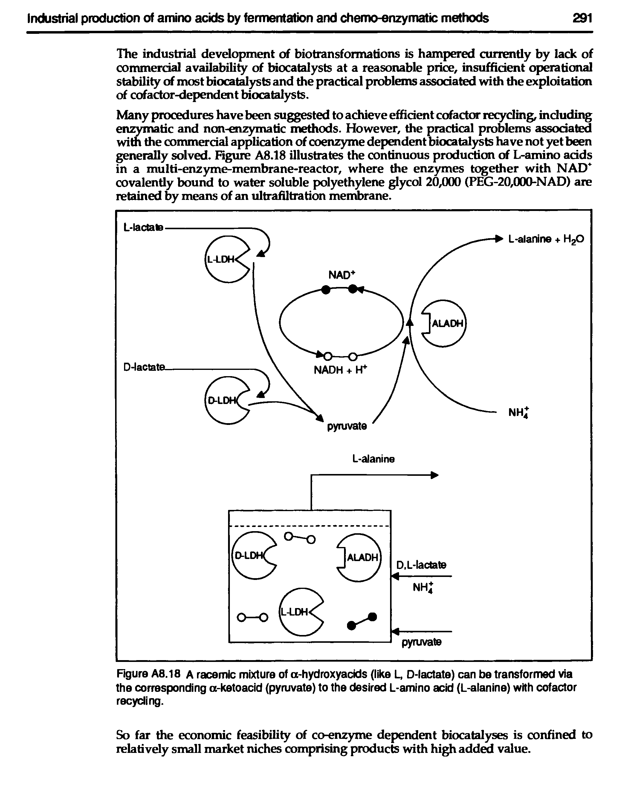 Figure A8.18 A racemic mixture of a-hydroxyacids (like L, D-lactate) can be transformed via the corresponding a-ketoacid (pyruvate) to the desired L-amino acid (L-alanine) with cofactor recycling.