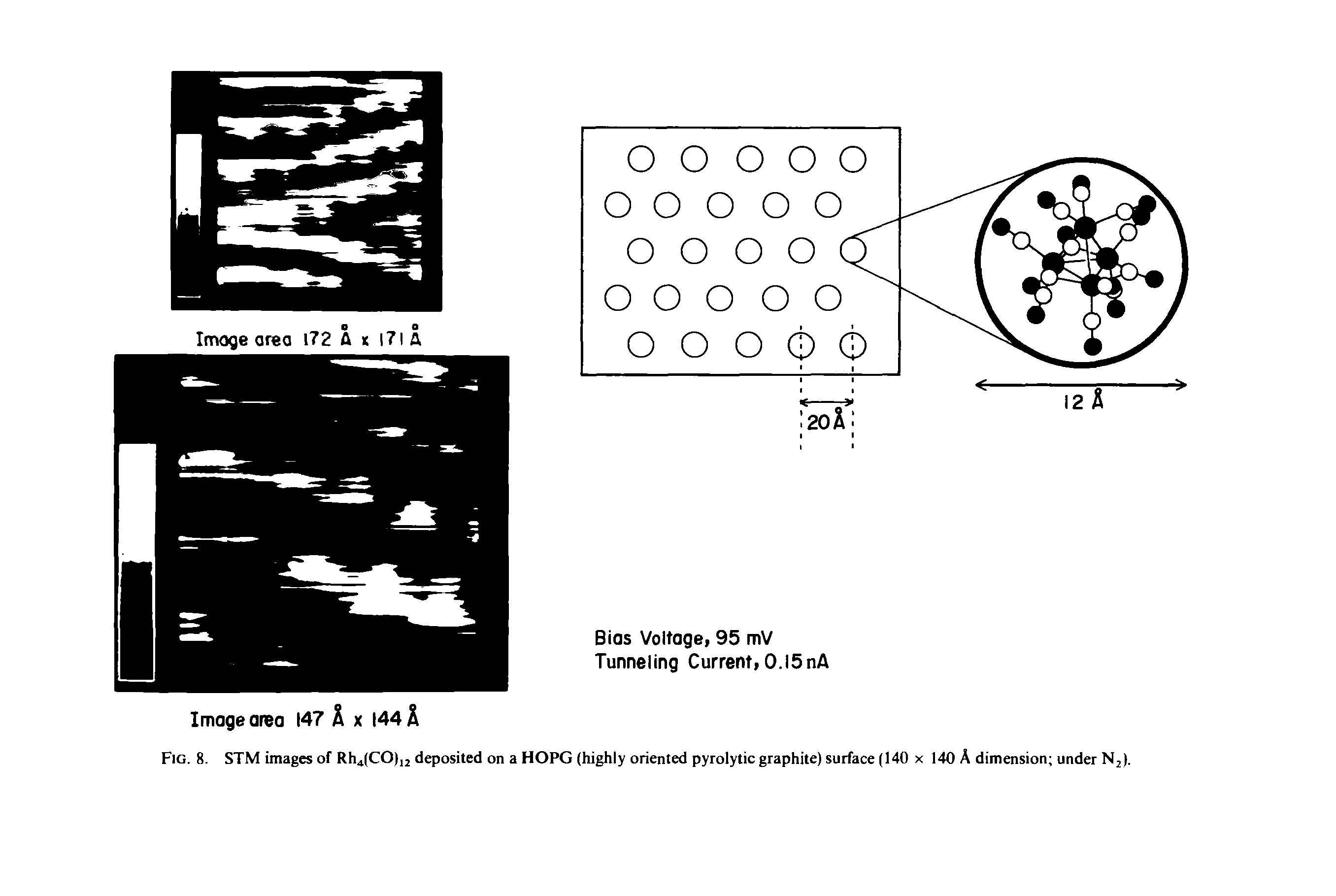 Fig. 8. STM images of RhJCO), deposited on a HOPG (highly oriented pyrolytic graphite) surface (140 x 140 A dimension under Nj).