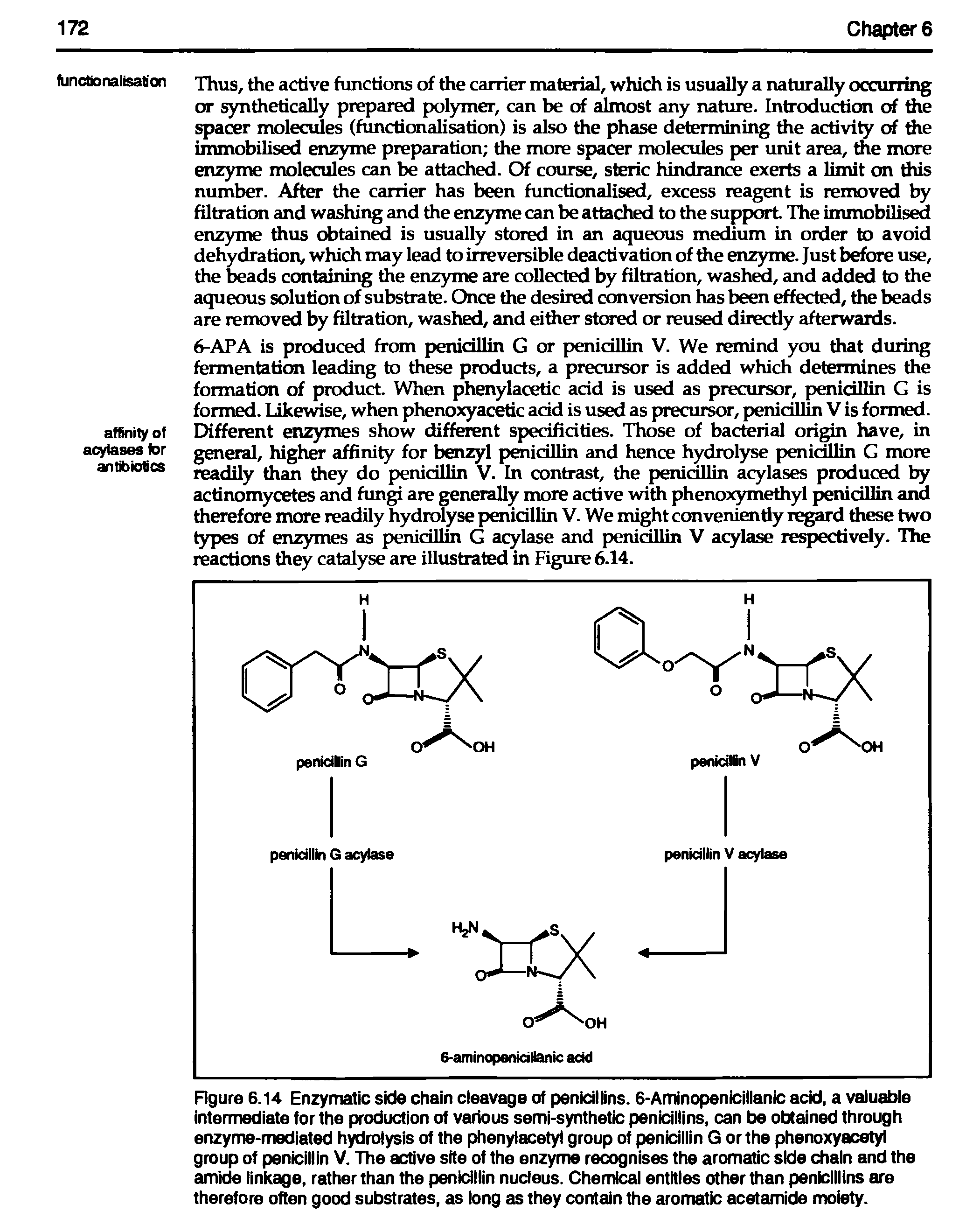 Figure 6.14 Enzymatic side chain cleavage of penicillins. 6-Aminopenicillanic acid, a valuable intermediate for the production of various semi-synthetic penicillins, can be obtained through enzyme-mediated hydrolysis of the phenylacety group of penicillin G or the phenoxyacetyl group of penicillin V. The active site of the enzyme recognises the aromatic side chain and the amide linkage, rather than the penidllin nucleus. Chemical entitles other than penicillins are therefore often good substrates, as long as they contain the aromatic acetamide moiety.