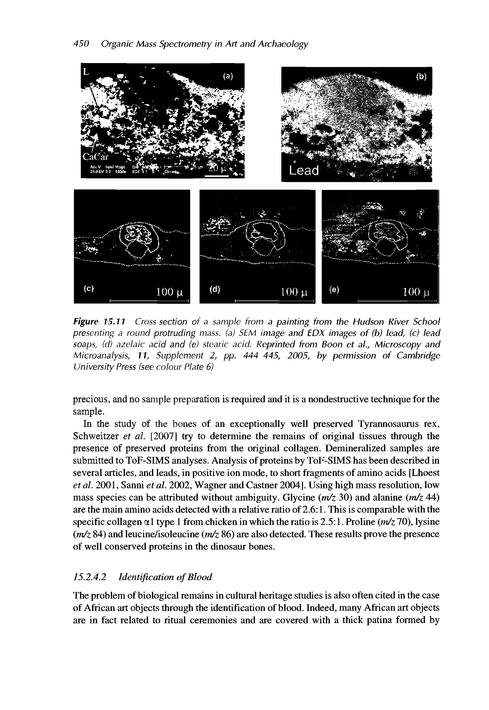 Figure 15.11 Cross section of a sample from a painting from the Hudson River School presenting a round protruding mass, (a) SEM image and EDX images of (b) lead, (c) lead soaps, (d) azelaic acid and (e) stearic acid. Reprinted from Boon et ah, Microscopy and Microanalysis, 11, Supplement 2, pp. 444 445, 2005, by permission of Cambridge University Press (see colour Plate 6)...