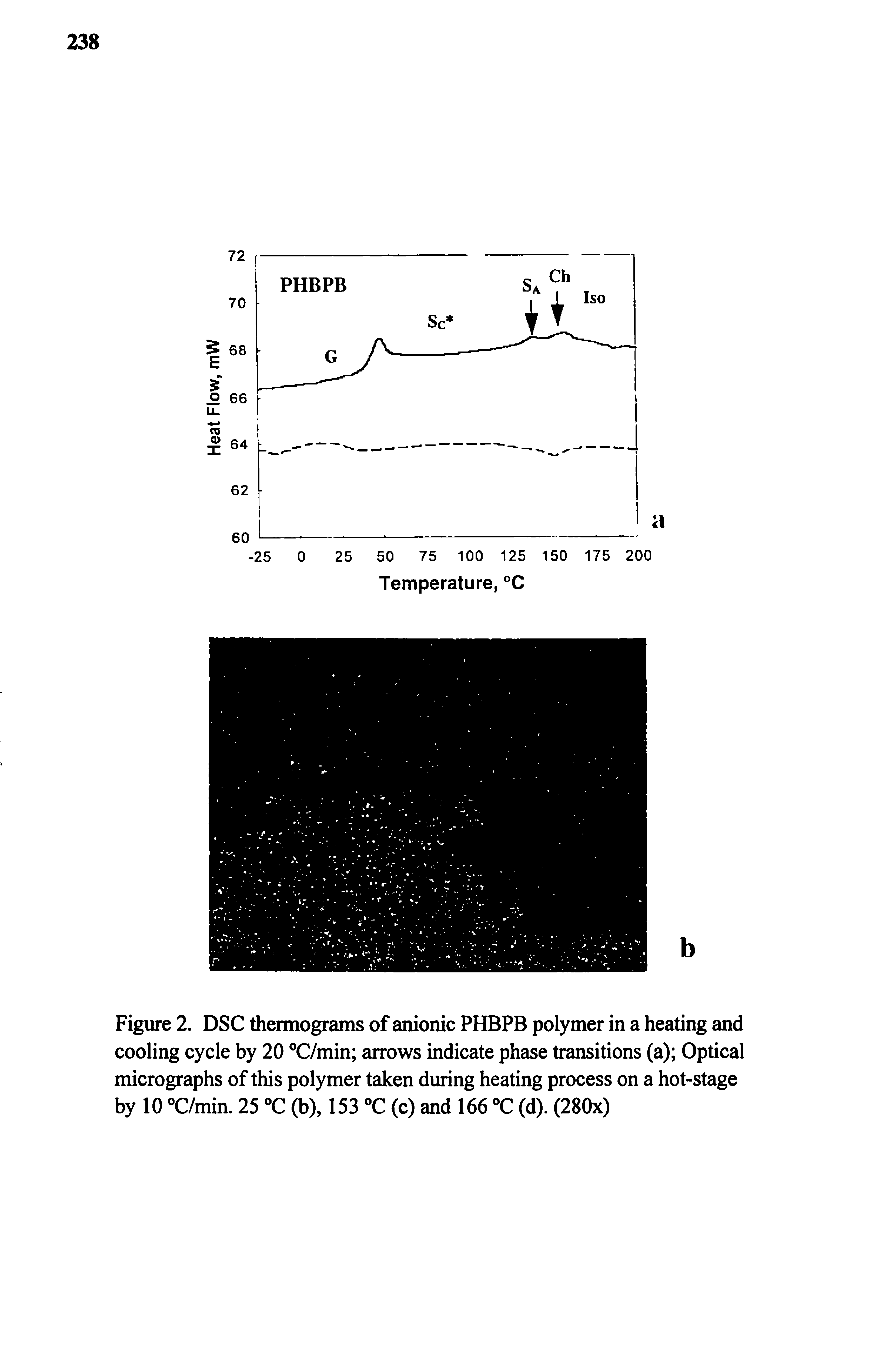 Figure 2. DSC thermograms of anionic PHBPB polymer in a heating and cooling cycle by 20 °C/min arrows indicate phase transitions (a) Optical micrographs of this polymer taken during heating process on a hot-stage by 10 °C/min. 25 °C (b), 153 (c) and 166 T (d). (280x)...