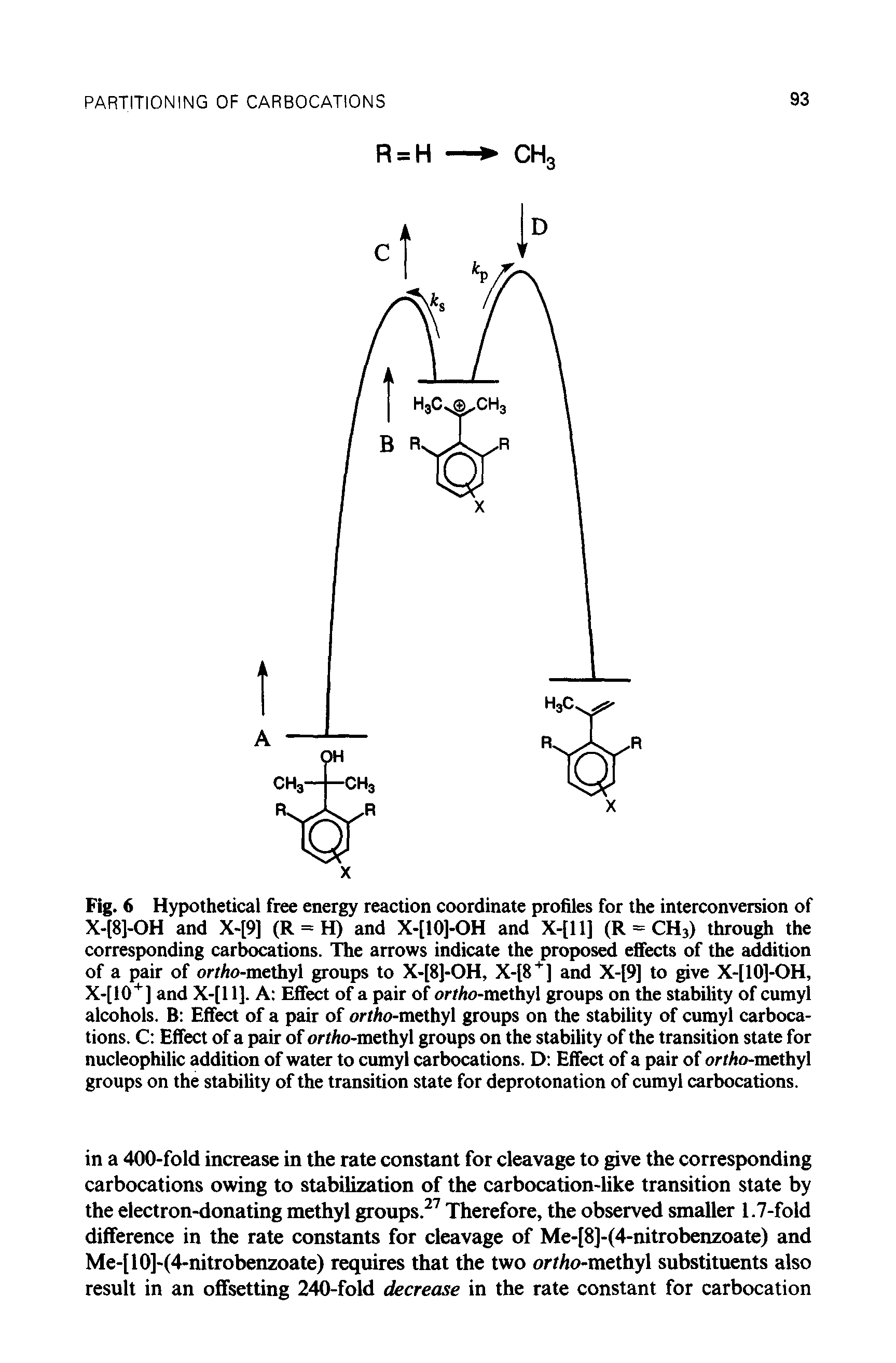 Fig. 6 Hypothetical free energy reaction coordinate profiles for the interconversion of X-[8]-OH and X-[9] (R = H) and X-[10]-OH and X-[ll] (R = CH3) through the corresponding carbocations. The arrows indicate the proposed eifects of the addition of a pair of ortAo-methyl groups to X-[8]-OH, X-[8+] and X-[9] to give X-[10]-OH, X-[10+] and X-[ll]. A Effect of a pair of or/Ao-methyl groups on the stability of cumyl alcohols. B Effect of a pair of or/Ao-methyl groups on the stability of cumyl carbocations. C Effect of a pair of ortho-methyl groups on the stability of the transition state for nucleophilic addition of water to cumyl carbocations. D Effect of a pair of orf/io-methyl groups on the stability of the transition state for deprotonation of cumyl carbocations.