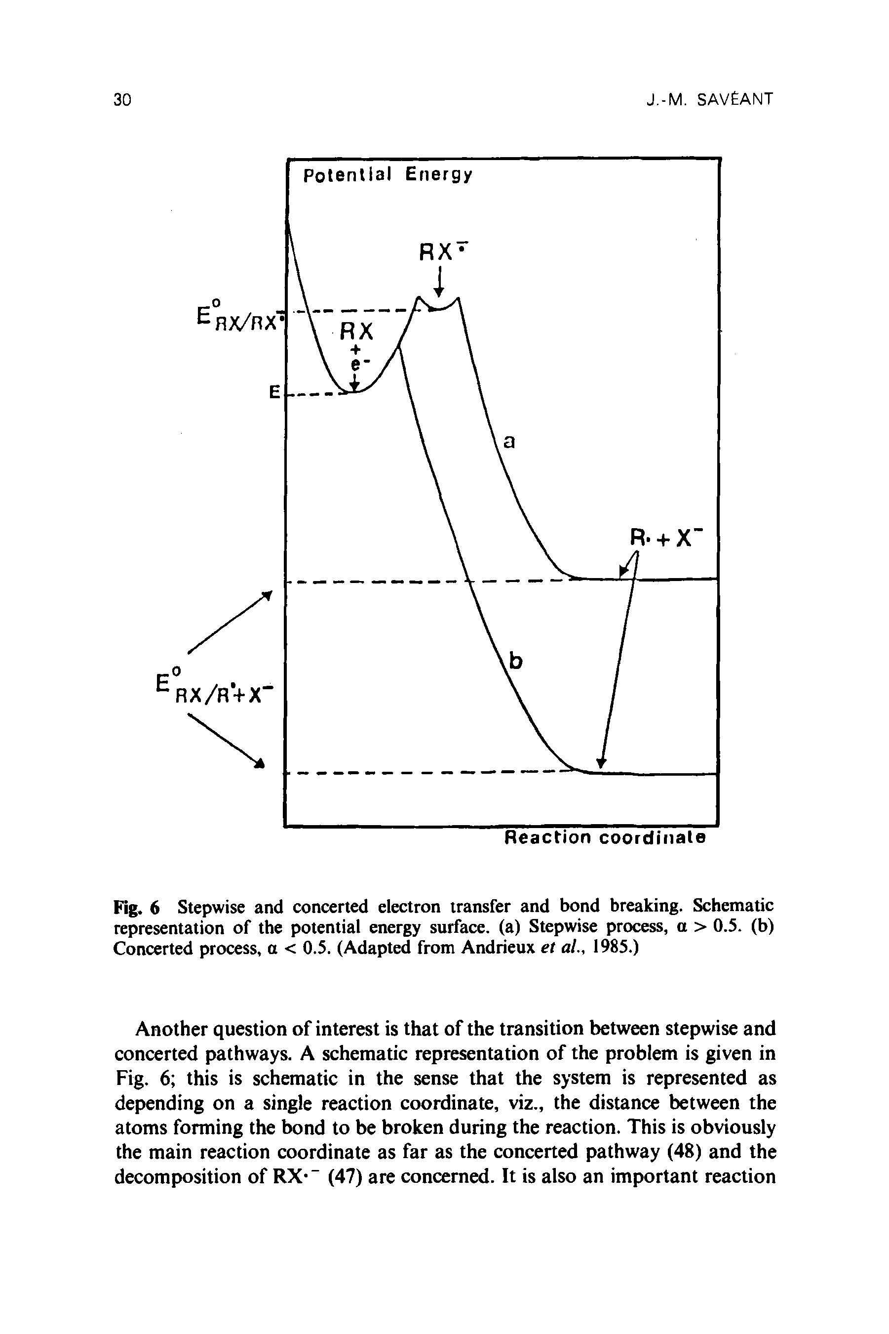 Fig. 6 Stepwise and concerted electron transfer and bond breaking. Schematic representation of the potential energy surface, (a) Stepwise process, a > 0.5. (b) Concerted process, a < 0.5. (Adapted from Andrieux et ai, 1985.)...