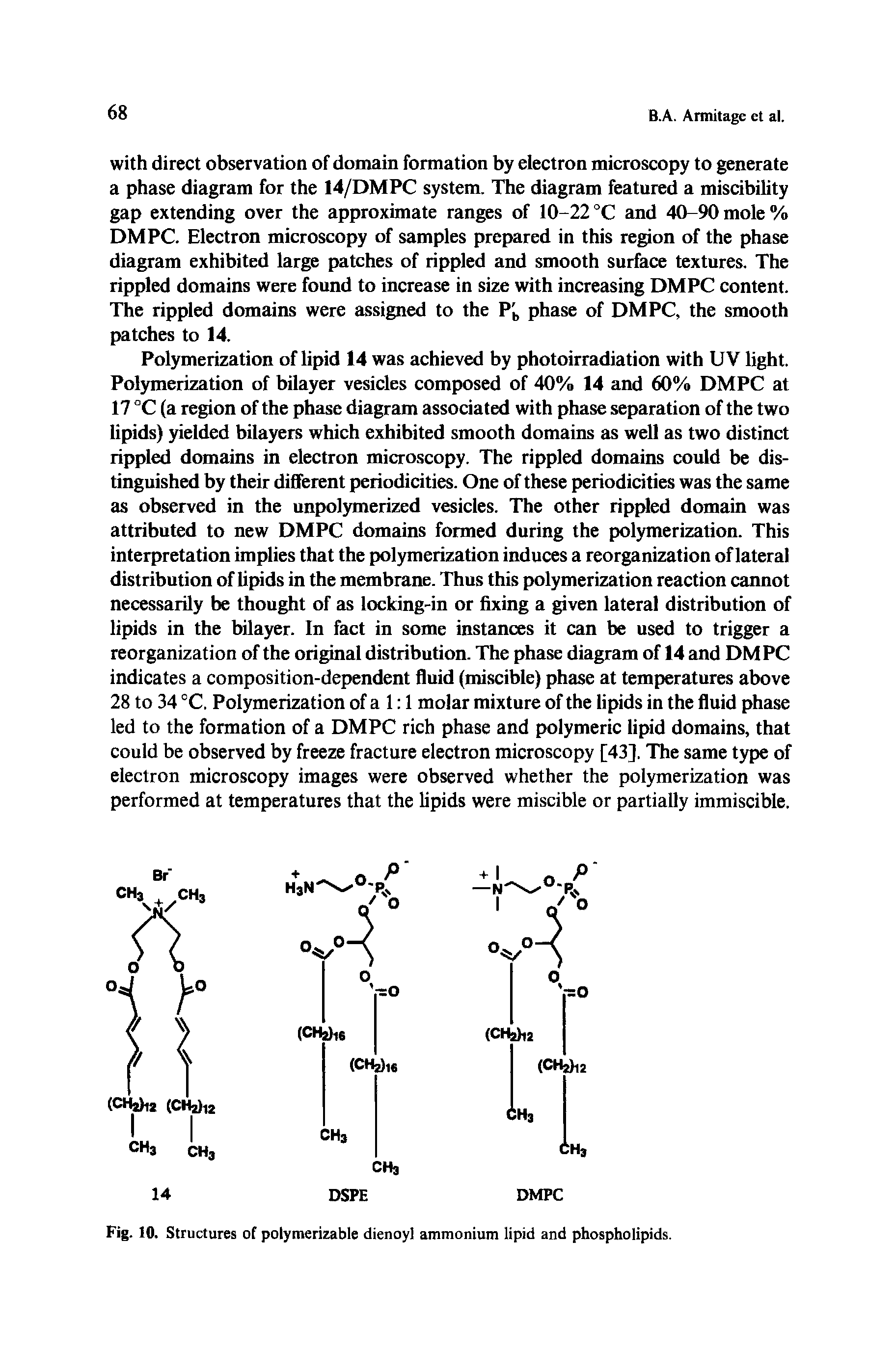 Fig. 10. Structures of polymerizable dienoyl ammonium lipid and phospholipids.