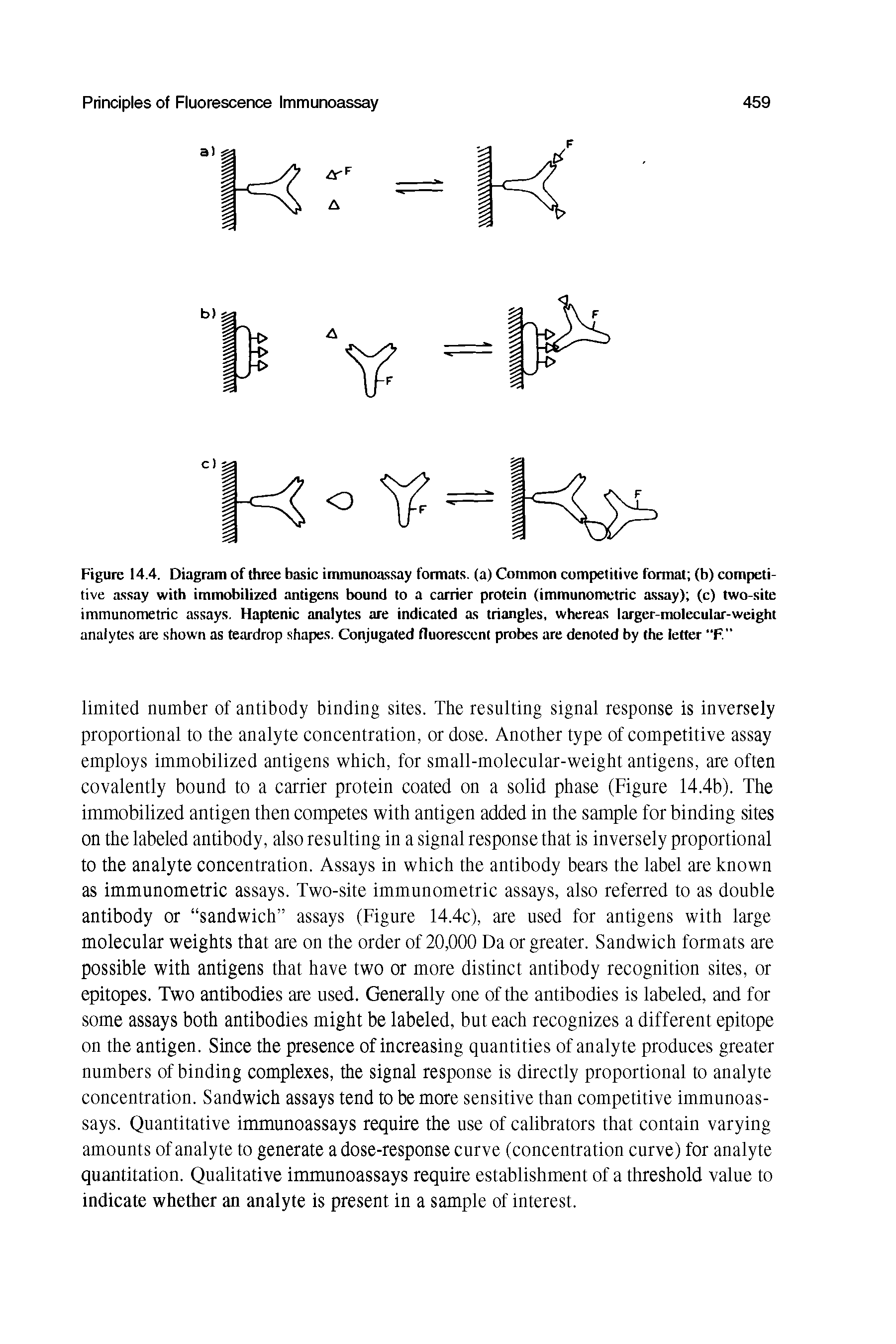 Figure 14.4. Diagram of three basic immunoassay formats, (a) Common competitive format (b) competitive assay with immobilized antigens bound to a carrier protein (immunometric assay) (c) two-site immunometric assays. Haptenic analytes are indicated as triangles, whereas larger-molecular-weight analytes are shown as teardrop shapes. Conjugated fluorescent probes are denoted by the letter "F. ...