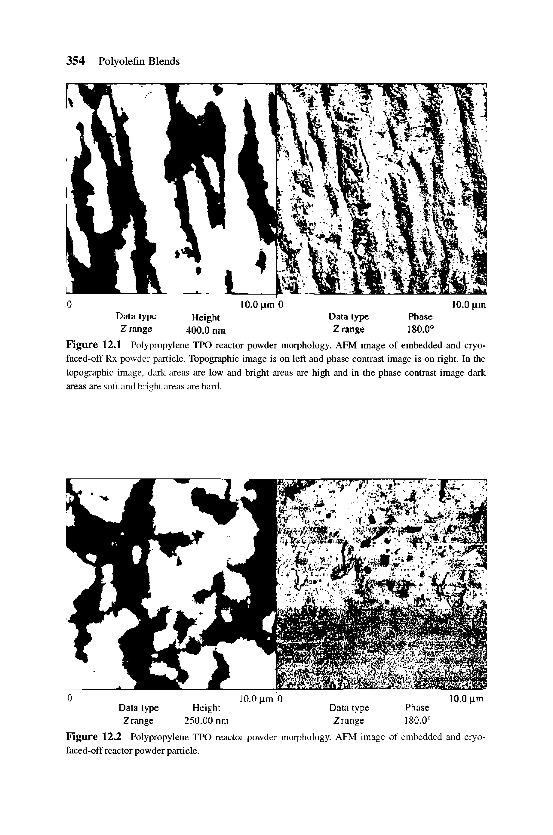 Figure 12.2 Polypropylene TPO reactor powder morphology. AFM image of embedded and cryo-faced-off reactor powder particle.