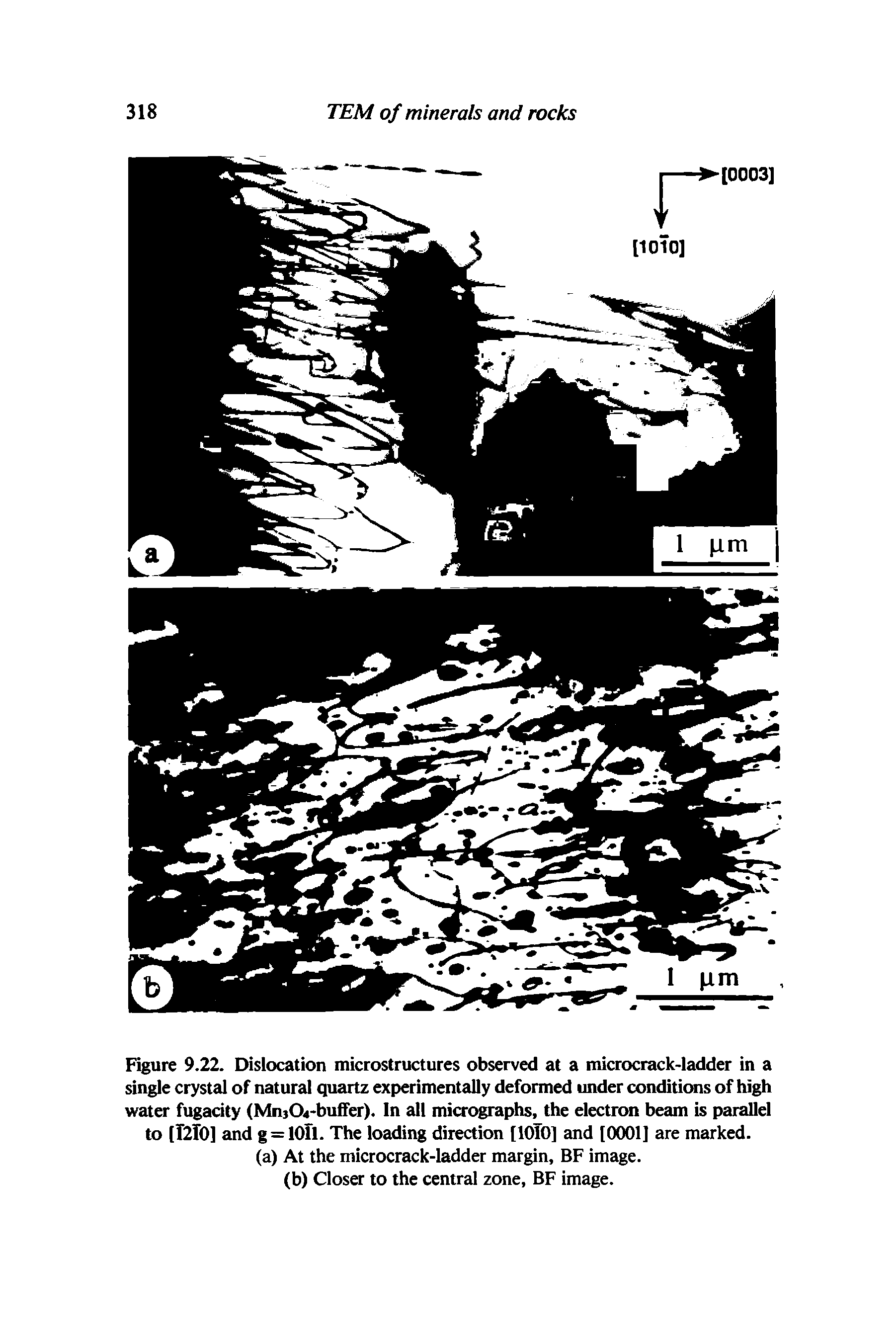 Figure 9.22. Dislocation microstructures observed at a microcrack-ladder in a single crystal of natural quartz experimentally deformed under conditions of high water fugadty (Mn)04 buffer). In all micrographs, the electron beam is parallel to [1210] and g = 10ll. The loading direction [lOTO] and [0001] are marked.