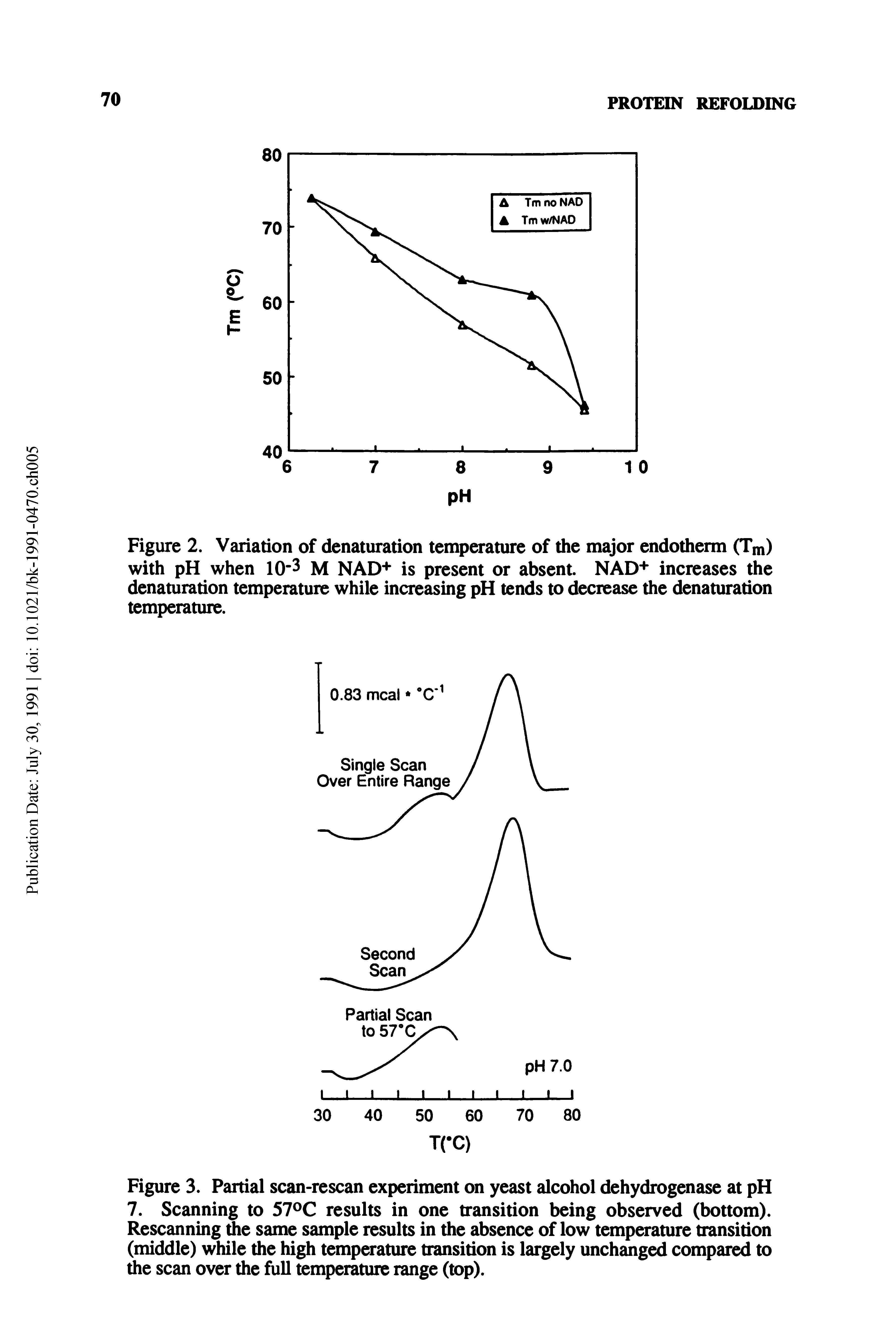 Figure 3. Partial scan-rescan experiment on yeast alcohol dehydrogenase at pH 7. Scanning to 57 C results in one transition being observed (bottom). Rescanning the same sample results in the absence of low temperature transition (middle) while the high temperature transition is largely unchanged compared to the scan over the full temperature range (top).