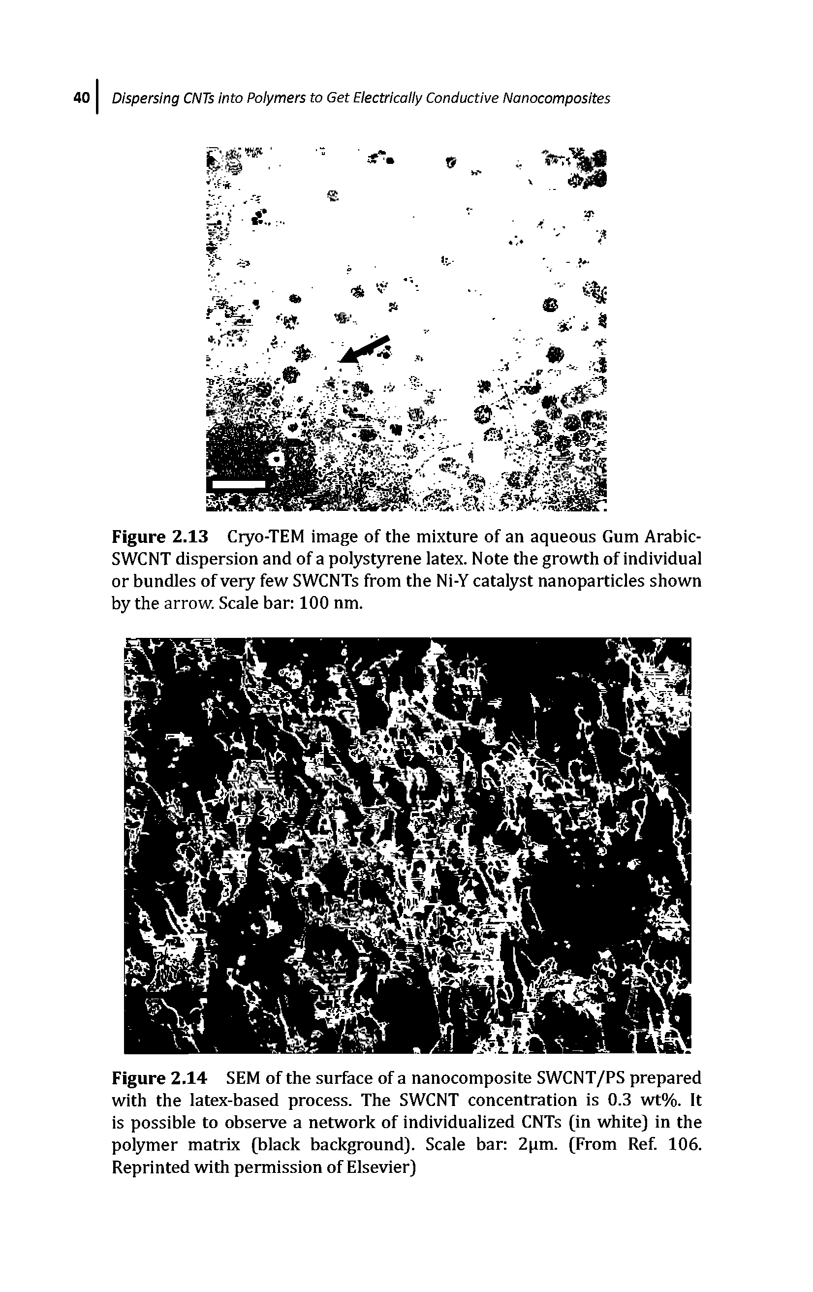 Figure 2.13 Ciyo-TEM image of the mixture of an aqueous Gum Arabic-SWCNT dispersion and of a polystyrene latex. Note the growth of individual or bundles of very few SWCNTs from the Ni-Y catalyst nanoparticles shown by the arrow. Scale bar 100 nm.