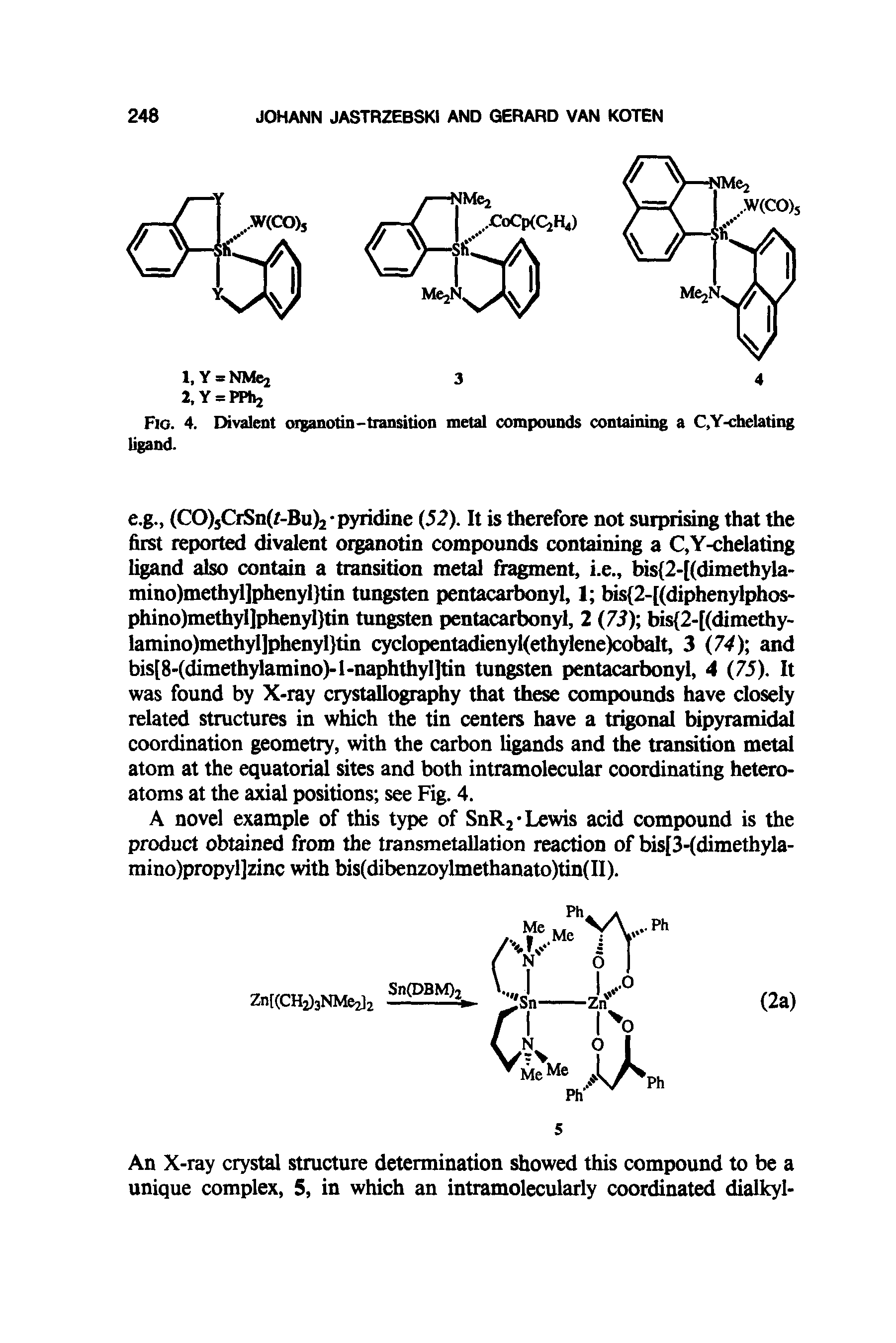 Fig. 4. Divalent organotin - transition metal compounds containing a C,Y-chelating ligand.