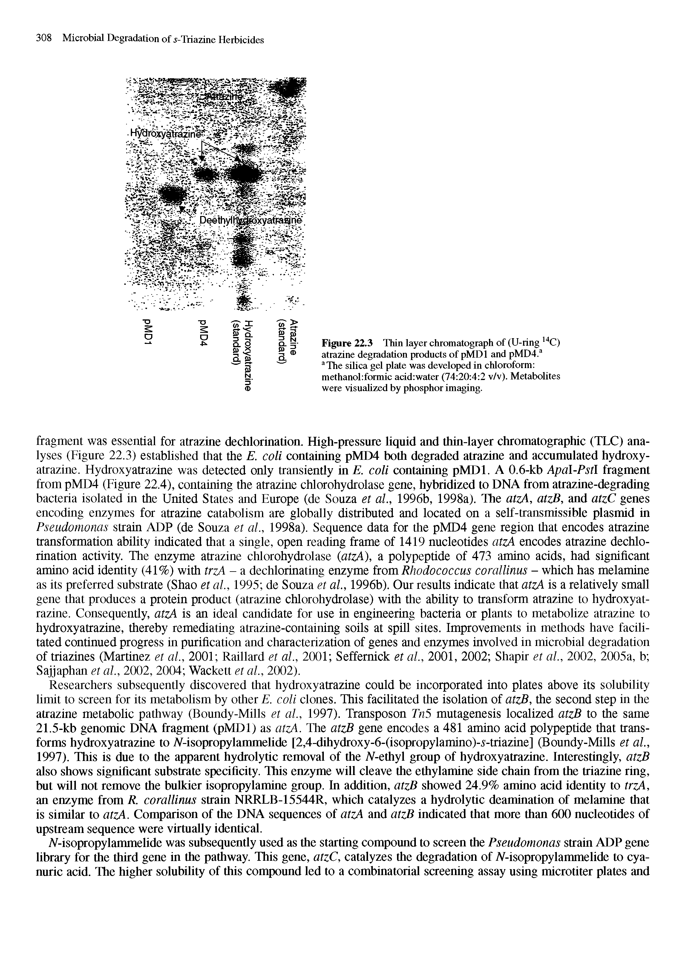 Figure 22.3 TMn layer chromatograph of (U-ring 14C) atrazine degradation products of pMDl and pMD4.a aThe silica gel plate was developed in chloroform methanohformic acid water (74 20 4 2 v/v). Metabolites were visualized by phosphor imaging.