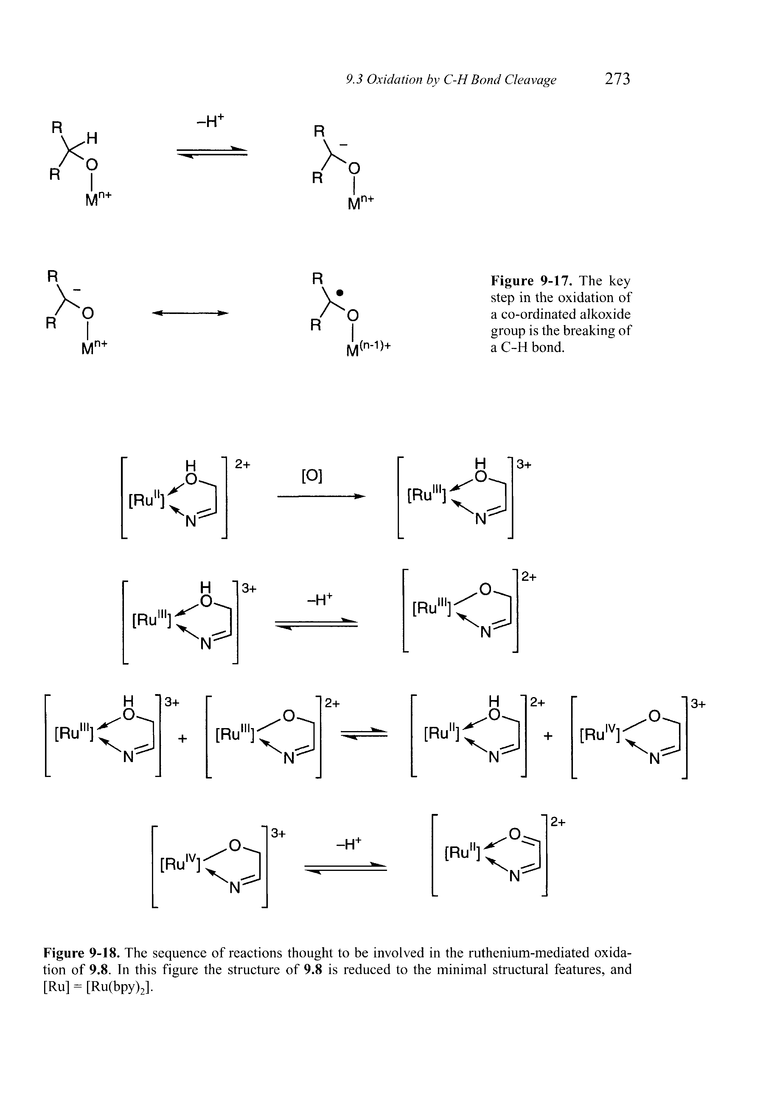 Figure 9-18. The sequence of reactions thought to be involved in the ruthenium-mediated oxidation of 9.8. In this figure the structure of 9.8 is reduced to the minimal structural features, and [Ru] = [Ru(bpy)2].
