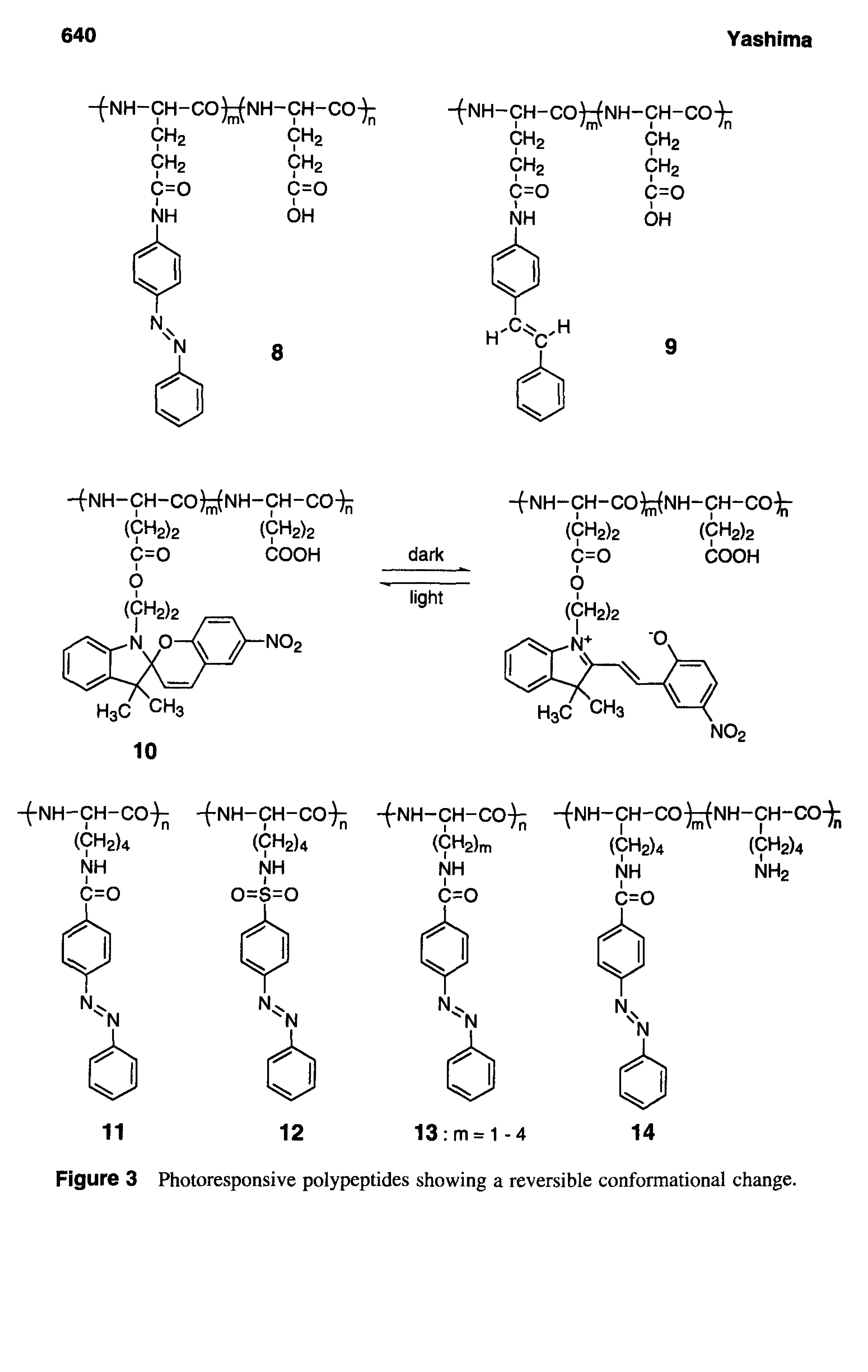 Figure 3 Photoresponsive polypeptides showing a reversible conformational change.