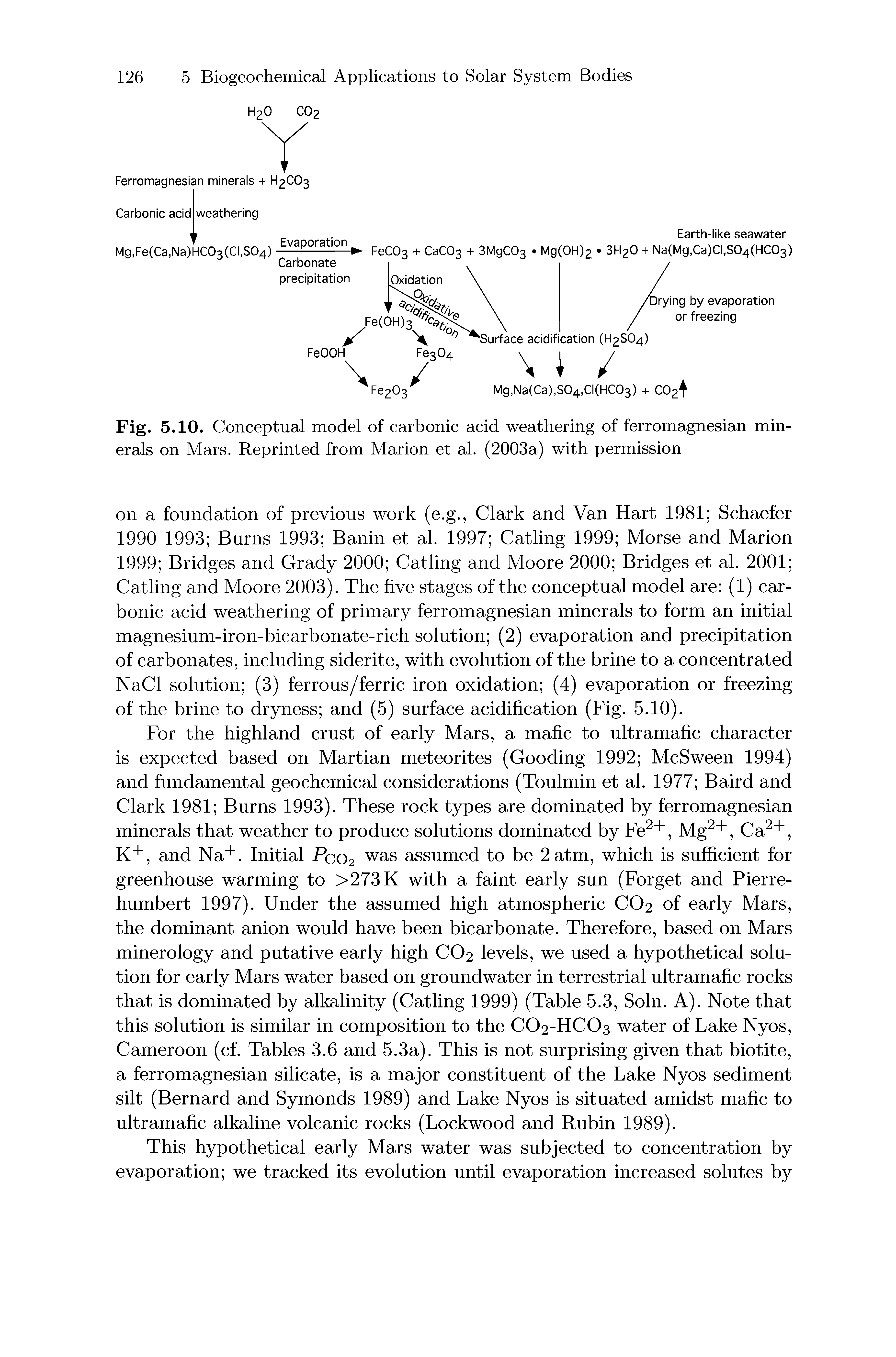 Fig. 5.10. Conceptual model of carbonic acid weathering of ferromagnesian minerals on Mars. Reprinted from Marion et al. (2003a) with permission...