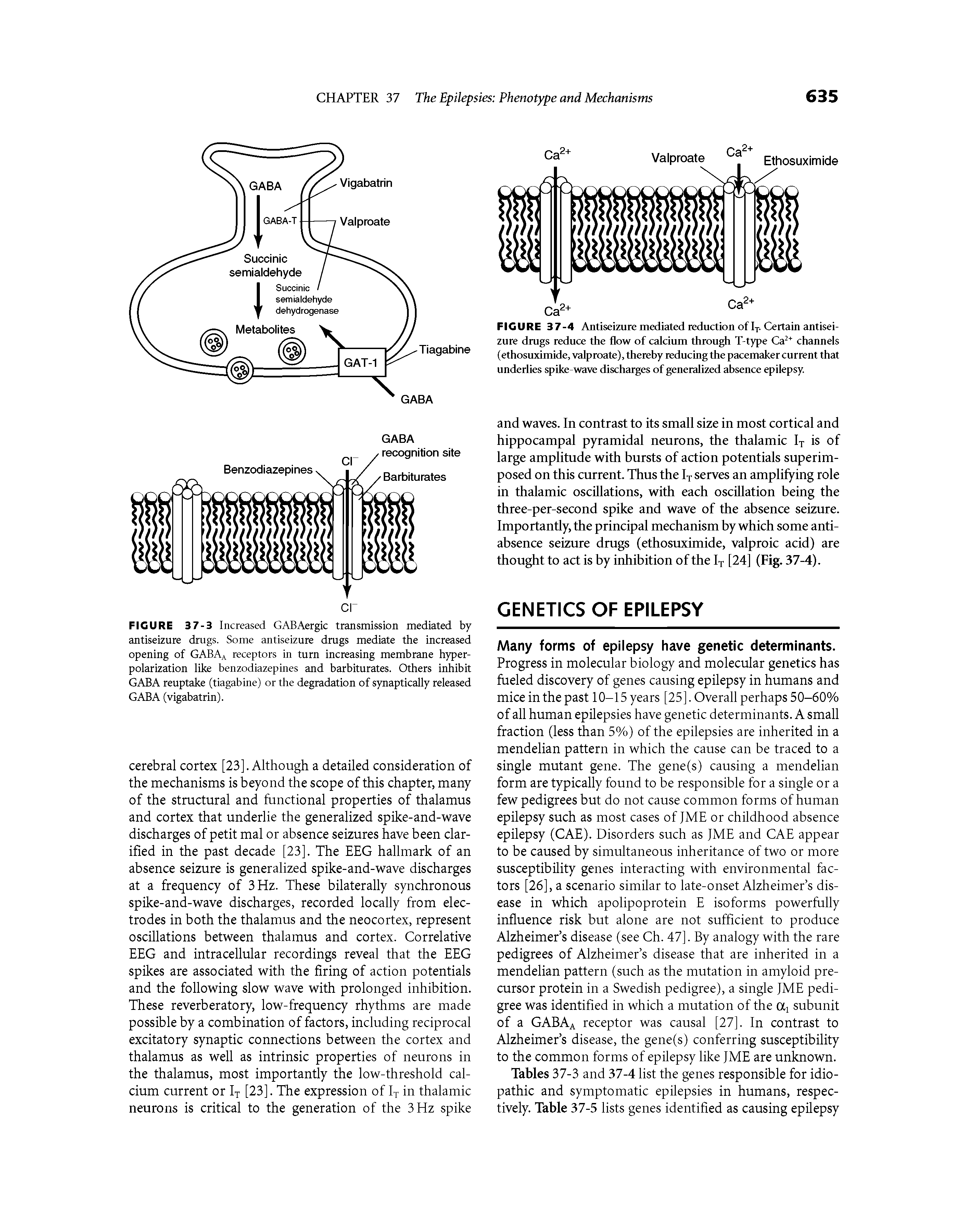 Tables 37-3 and 37-4 list the genes responsible for idiopathic and symptomatic epilepsies in humans, respectively. Table 37-5 lists genes identified as causing epilepsy...