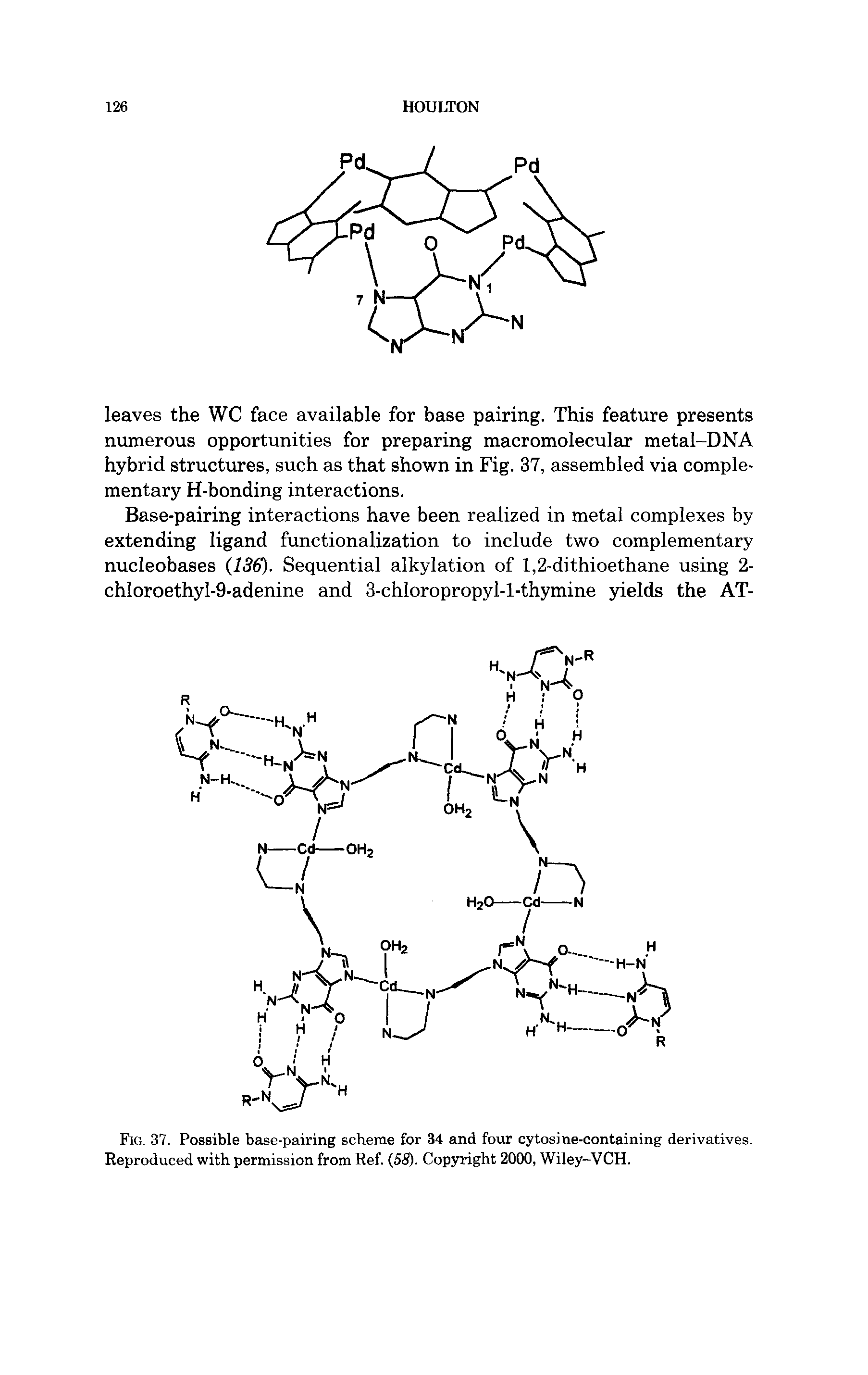 Fig. 37. Possible base-pairing scheme for 34 and four cytosine-containing derivatives. Reproduced with permission from Ref. (58). Copyright 2000, Wiley-VCH.