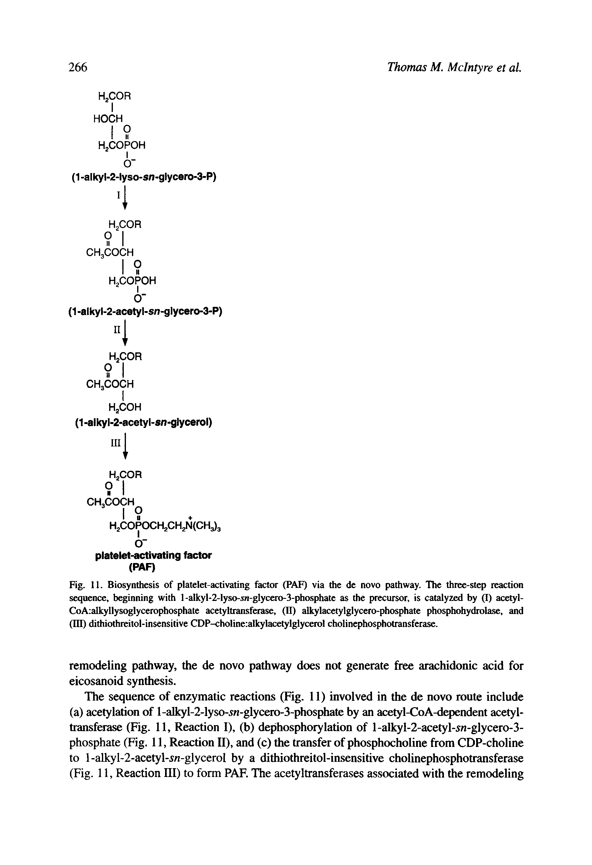 Fig. 11. Biosynthesis of platelet-activating factor (PAF) via the de novo pathway. The three-step reaction sequence, beginning with l-alkyl-2-lyso-s -glycero-3-phosphate as the precursor, is catalyzed by (I) acetyl-CoAialkyllysoglycerophosphate acetyltransferase, (II) alkylacetylglycero-phosphate phosphohydrolase, and (HI) dithiothreitol-insensitive CDP-choline alkylacetylglycerol cholinephosphotransferase.