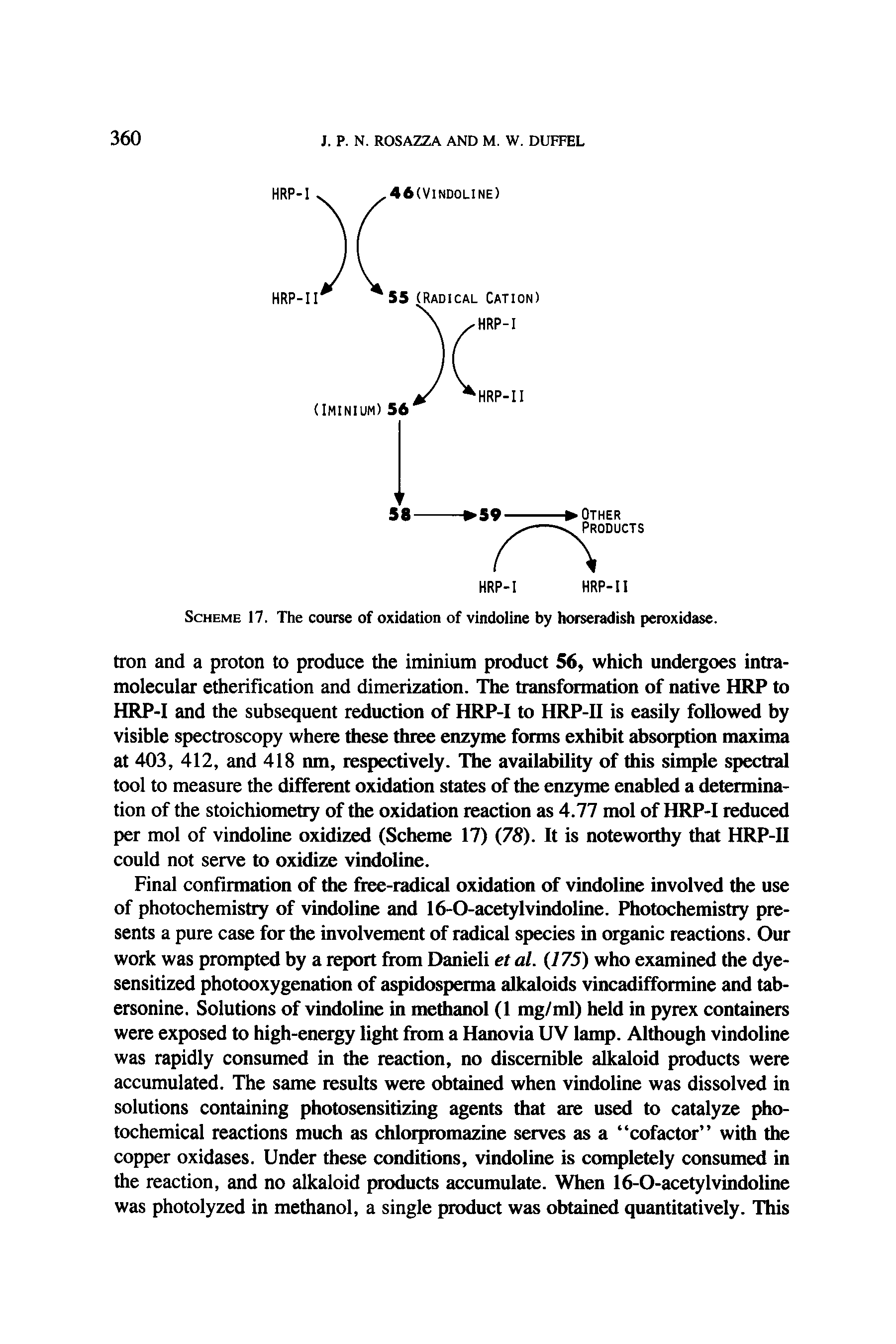 Scheme 17. The course of oxidation of vindoline by horseradish peroxidase.