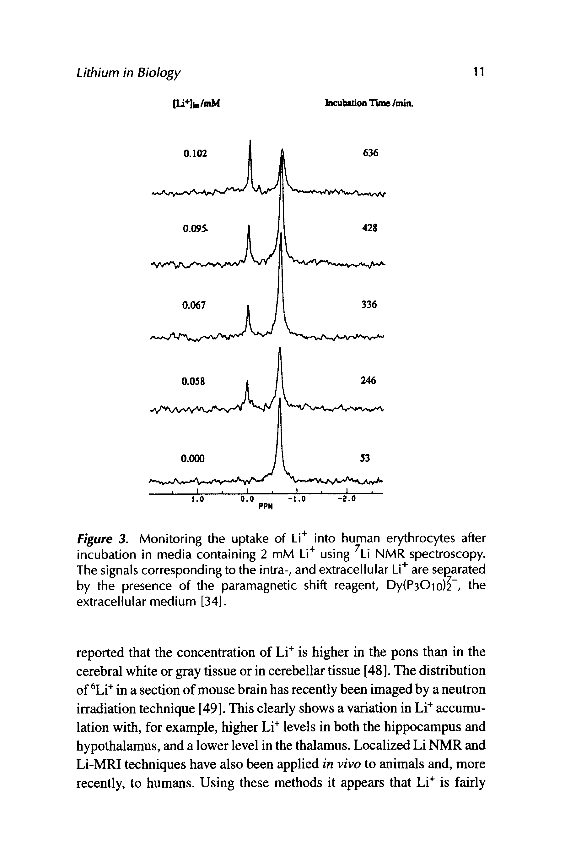 Figure 3. Monitoring the uptake of Li+ into human erythrocytes after incubation in media containing 2 mM Li+ using 7Li NMR spectroscopy. The signals corresponding to the intra-, and extracellular Li+ are separated by the presence of the paramagnetic shift reagent, Dy(P30io)2, the extracellular medium [34].