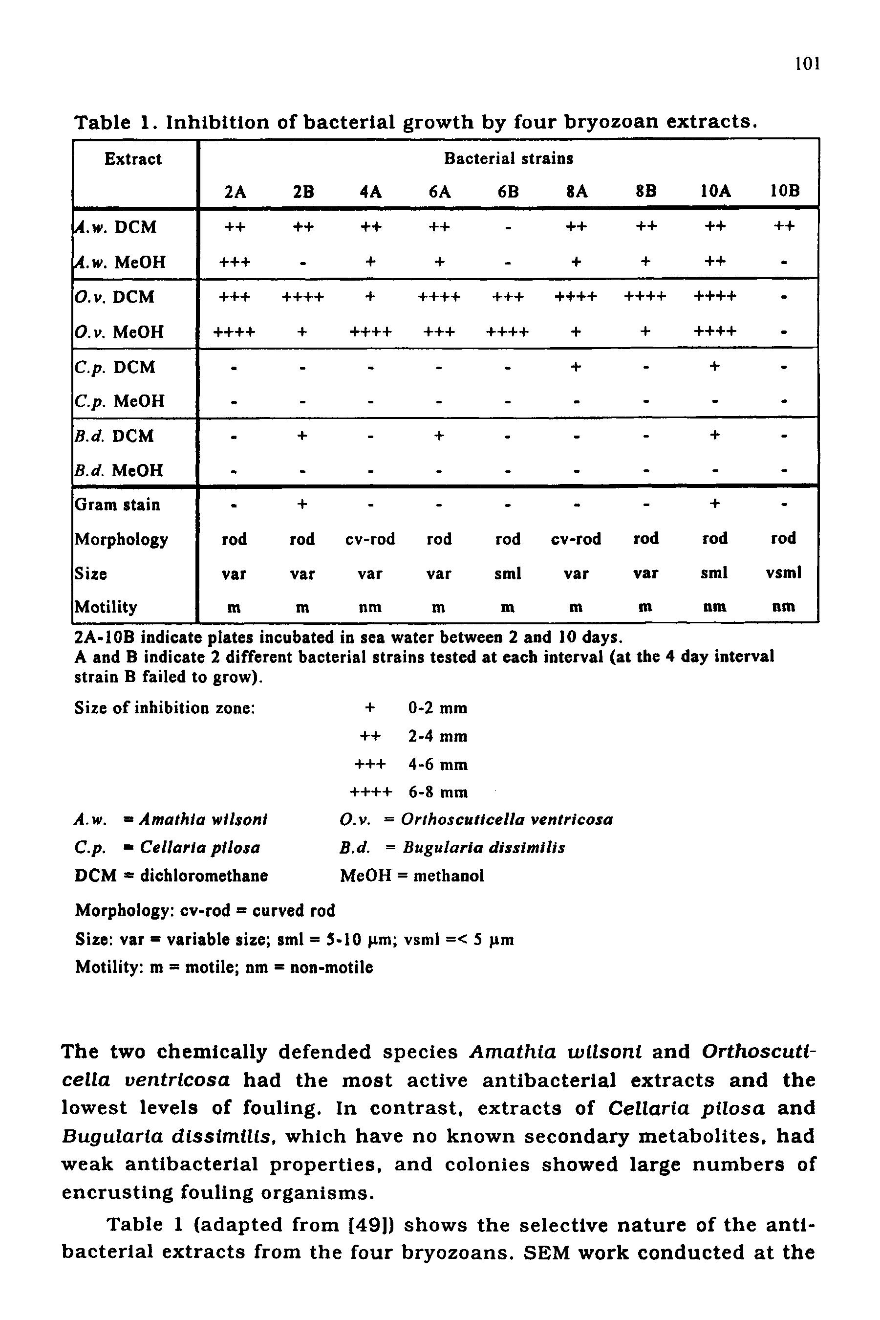Table 1. Inhibition of bacterial growth by four bryozoan extracts.