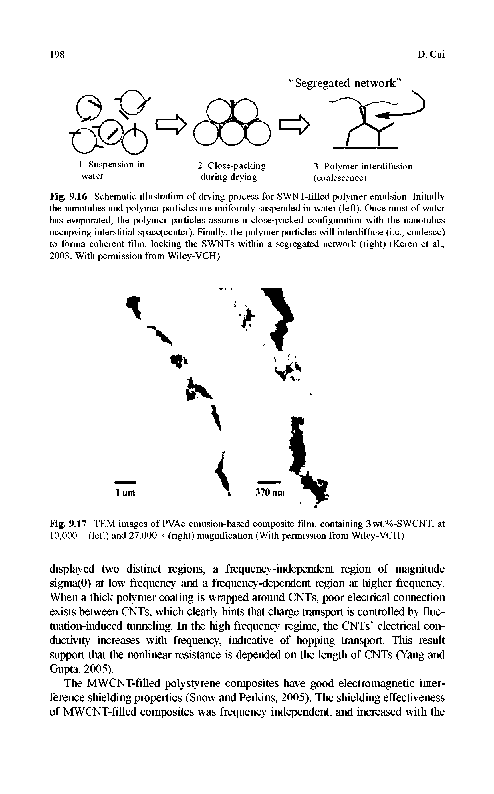 Fig. 9.16 Schematic illustration of drying process for SWNT-filled polymer emulsion. Initially the nanotubes and polymer particles are uniformly suspended in water (left). Once most of water has evaporated, the polymer particles assume a close-packed configuration with the nanotubes occupying interstitial space(center). Finally, the polymer particles will interdiffuse (i.e., coalesce) to forma coherent film, locking the SWNTs within a segregated network (right) (Keren et al, 2003. With permission from Wiley-VCH)...