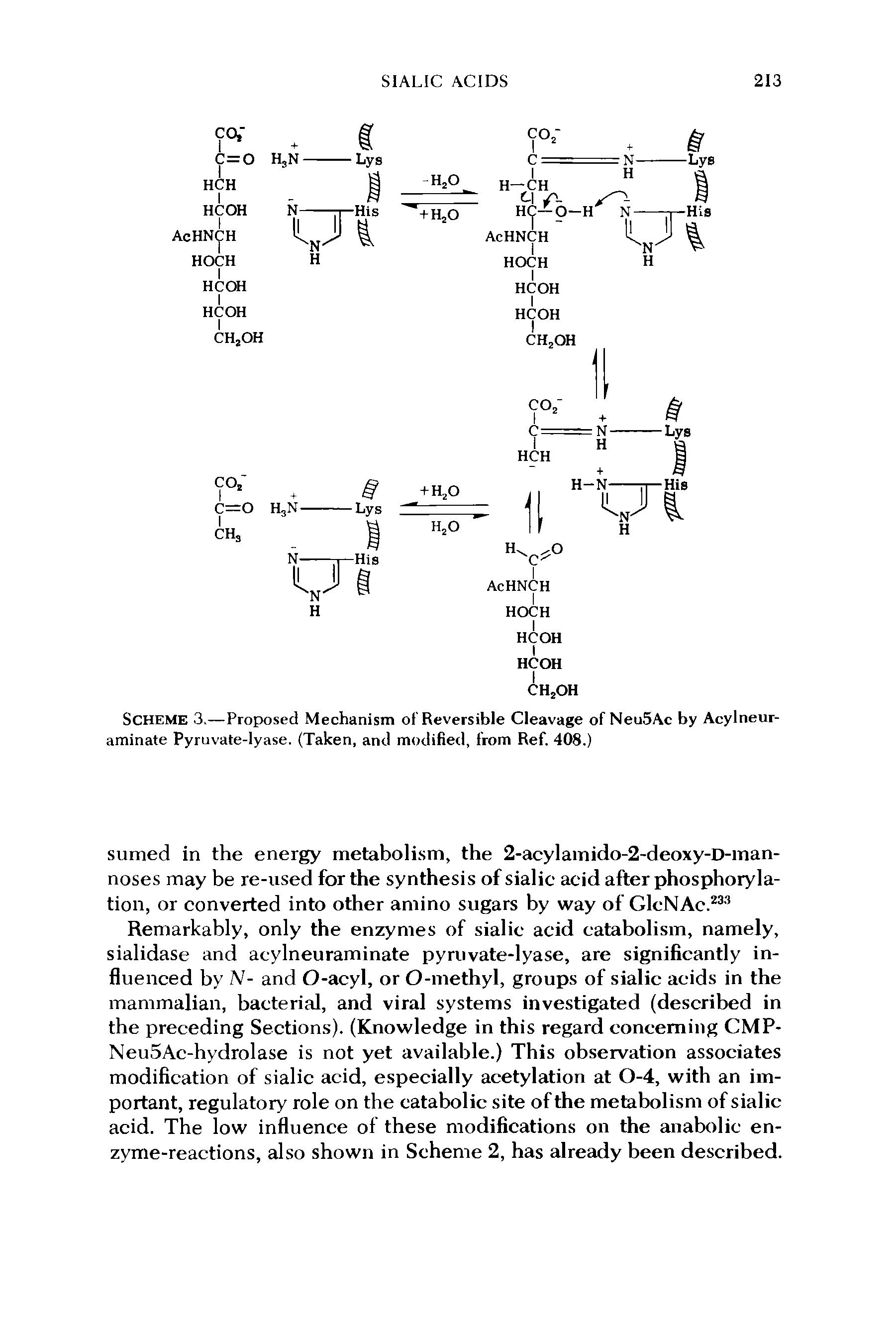 Scheme 3.—Proposed Mechanism of Reversible Cleavage of Neu5Ac by Acylneur-aminate Pyruvate-lyase. (Taken, and modified, from Ref. 408.)...