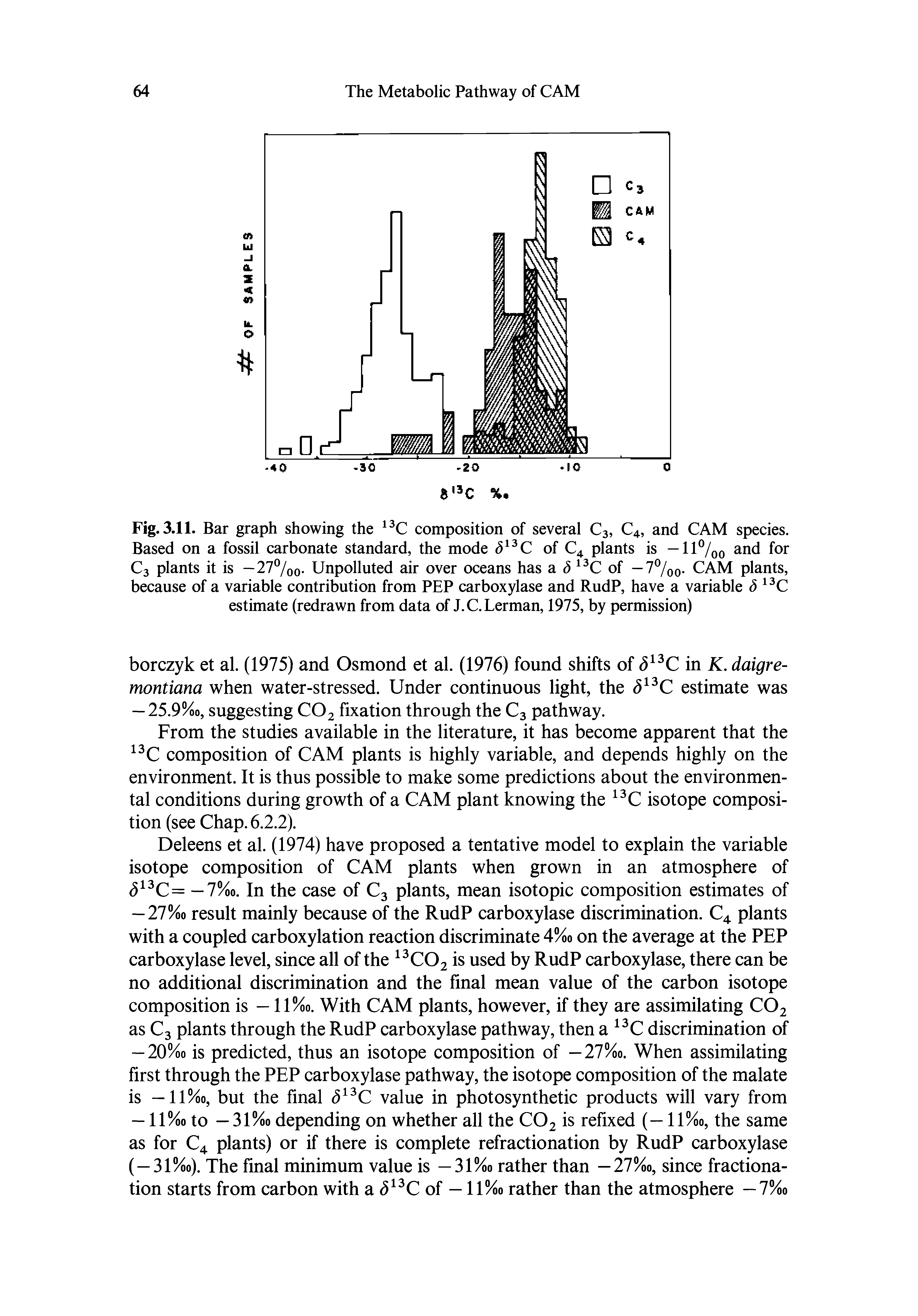 Fig. 3.11. Bar graph showing the composition of several C3, C4, and CAM species. Based on a fossil carbonate standard, the mode C of C4 plants is —11 /qq and for C3 plants it is — 27%o Unpolluted air over oceans has a C of — 7%o- CAM plants, because of a variable contribution from PEP carboxylase and RudP, have a variable C estimate (redrawn from data of J.C.Lerman, 1975, by permission)...