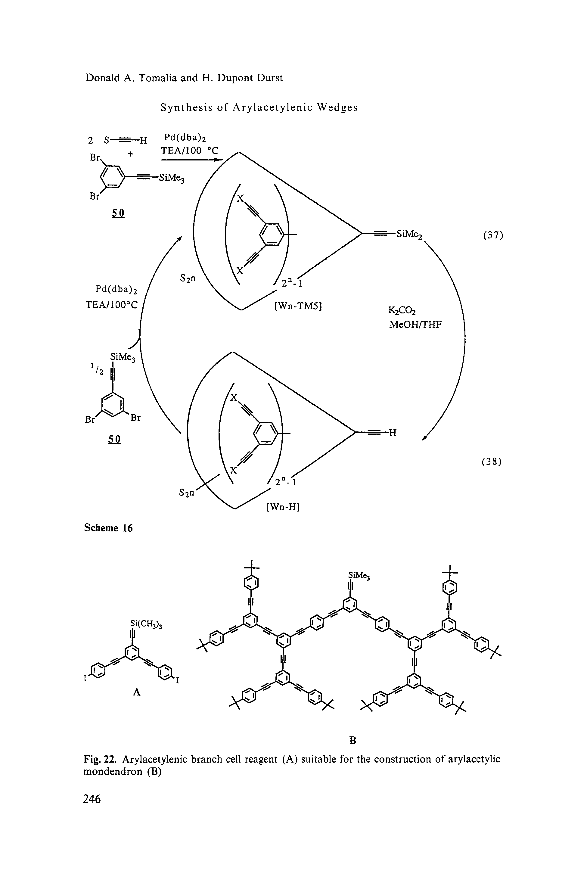 Fig. 22. Arylacetylenic branch cell reagent (A) suitable for the construction of arylacetylic mondendron (B)...