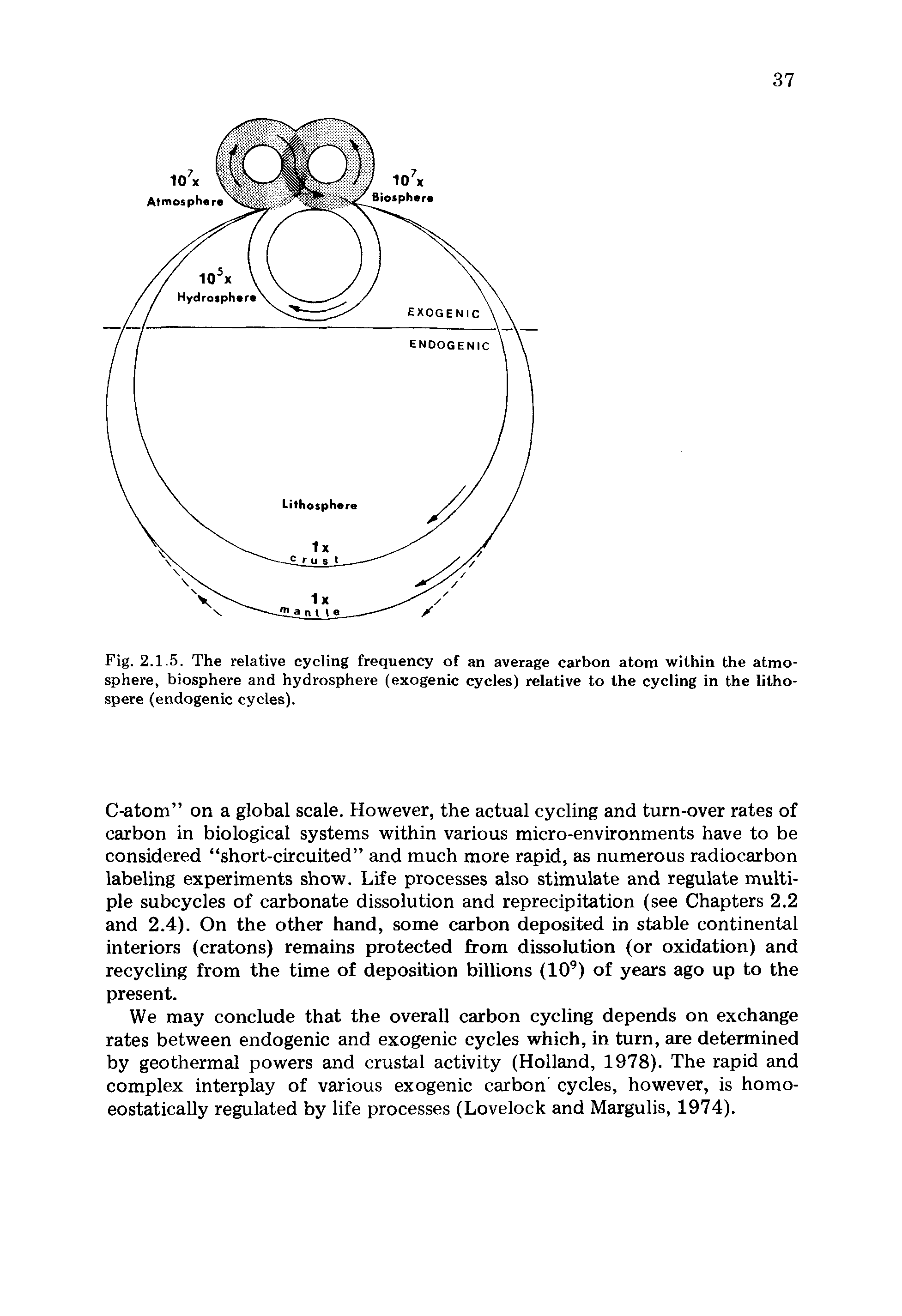 Fig. 2.1.5. The relative cycling frequency of an average carbon atom within the atmosphere, biosphere and hydrosphere (exogenic cycles) relative to the cycling in the litho-spere (endogenic cycles).