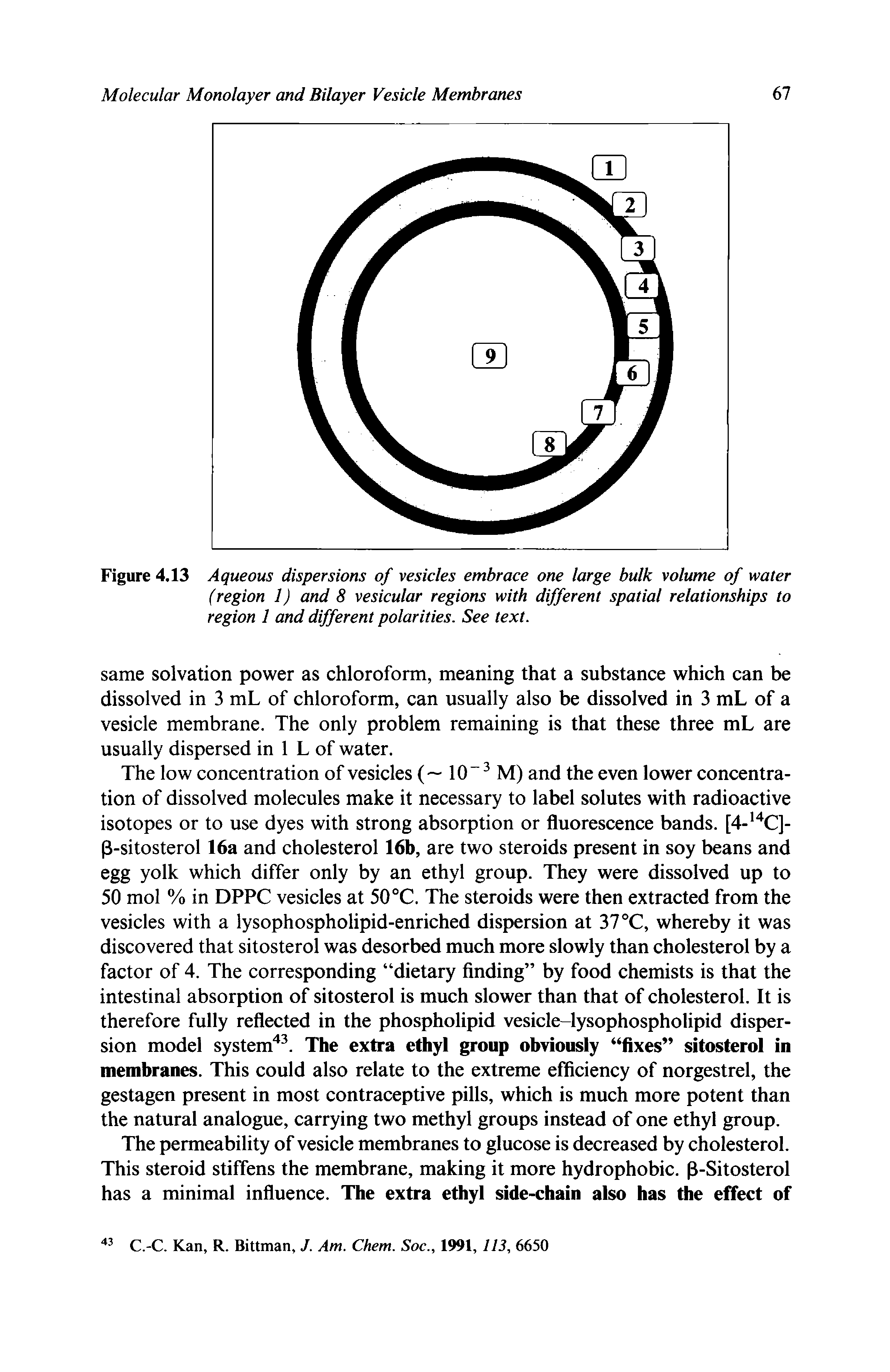 Figure 4,13 Aqueous dispersions of vesicles embrace one large bulk volume of water (region 1) and 8 vesicular regions with different spatial relationships to region 1 and different polarities. See text.