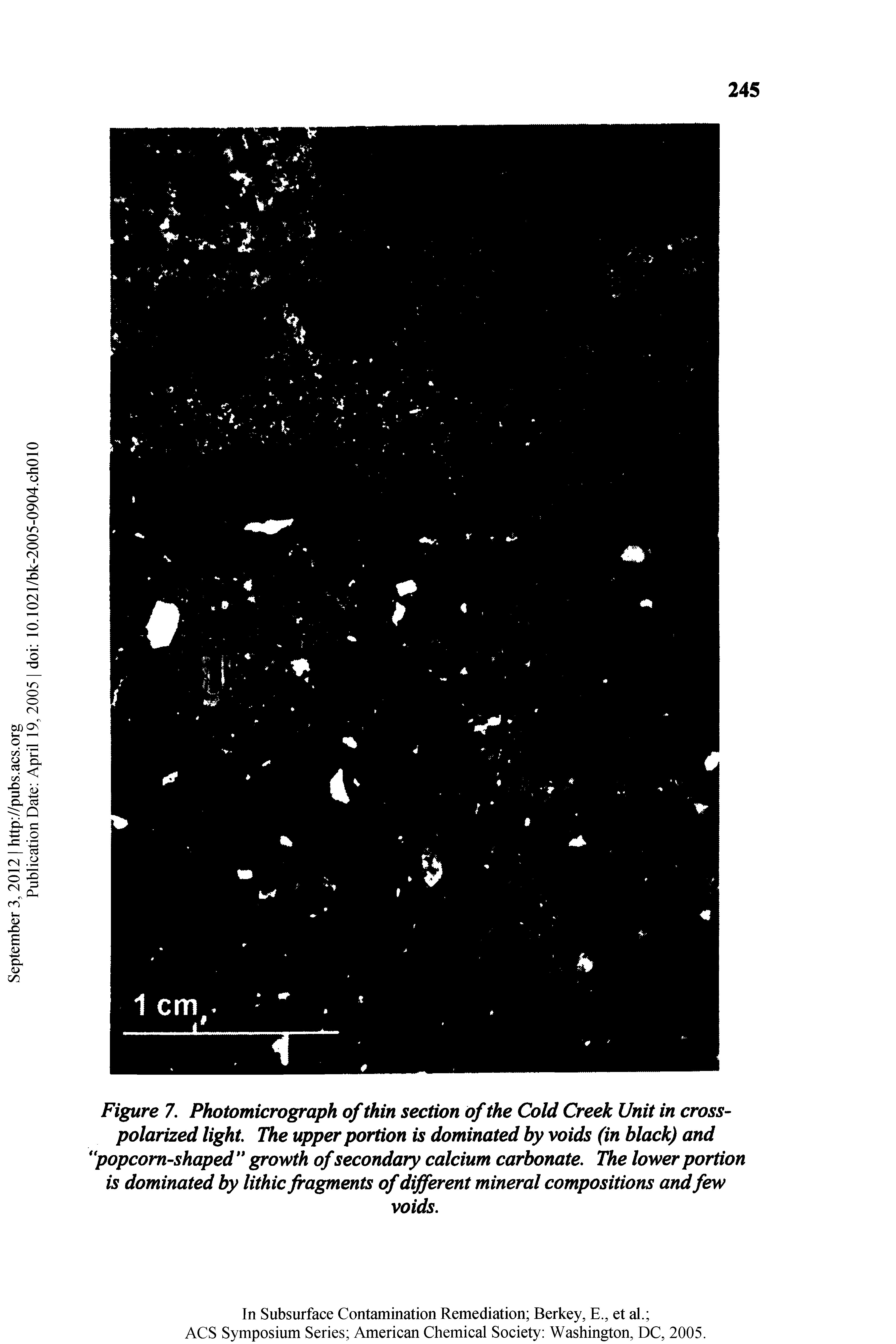 Figure 7. Photomicrograph of thin section of the Cold Creek Unit in cross-polarized light The upper portion is dominated by voids (in black) and popcom-shaped growth of secondary calcium carbonate. The lower portion is dominated by lithic fragments of different mineral compositions and few...