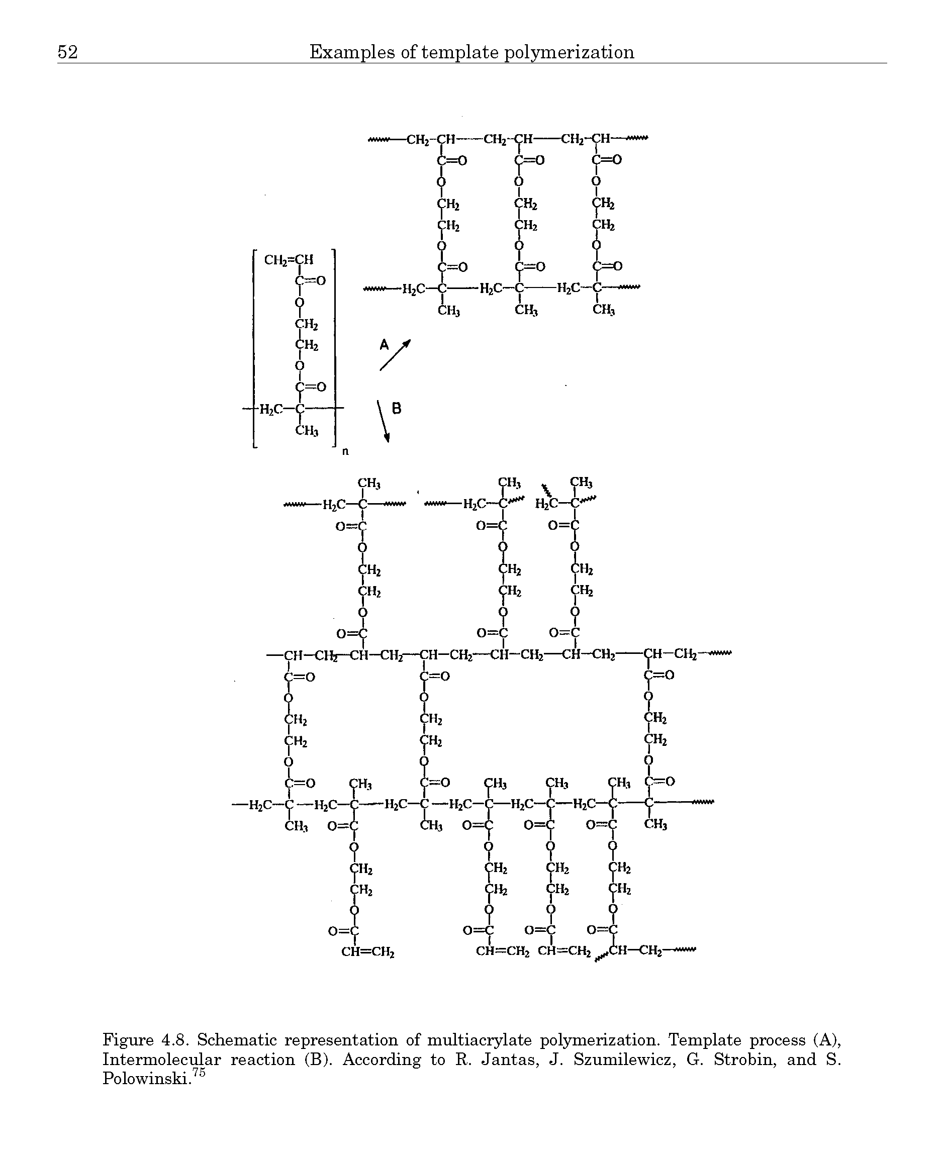 Figure 4.8. Schematic representation of multiacrylate polymerization. Template process (A), Intermolecular reaction (B). According to R. Jantas, J. Szumilewicz, G. Strobin, and S. Polowinski. ...