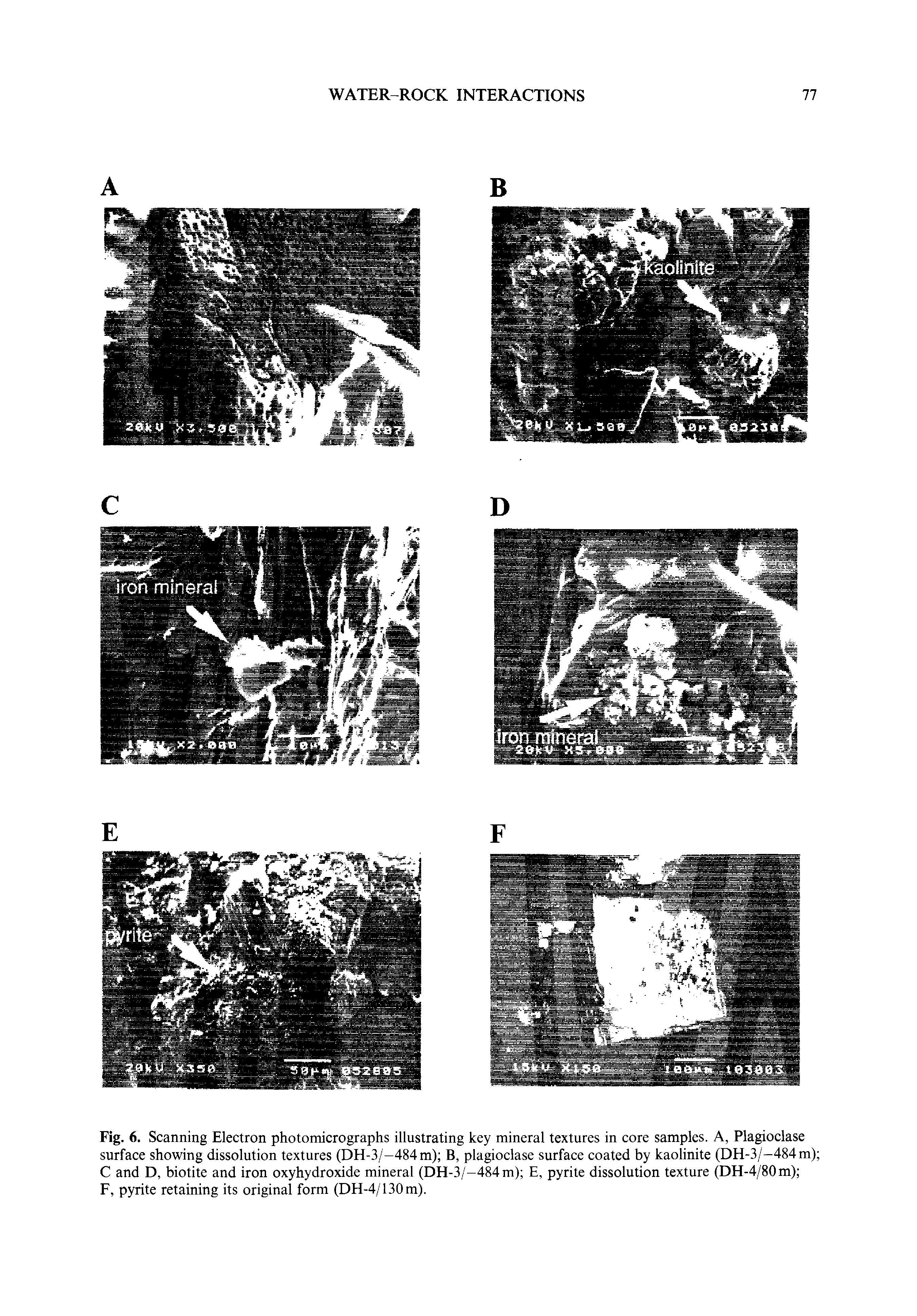 Fig. 6. Scanning Electron photomicrographs illustrating key mineral textures in core samples. A, Plagioclase surface showing dissolution textures (DH-3/-484m) B, plagioclase surface coated by kaolinite (DH-3/-484m) C and D, biotite and iron oxyhydroxide mineral (DH-3/-484m) E, pyrite dissolution texture (DH-4/80m) ...