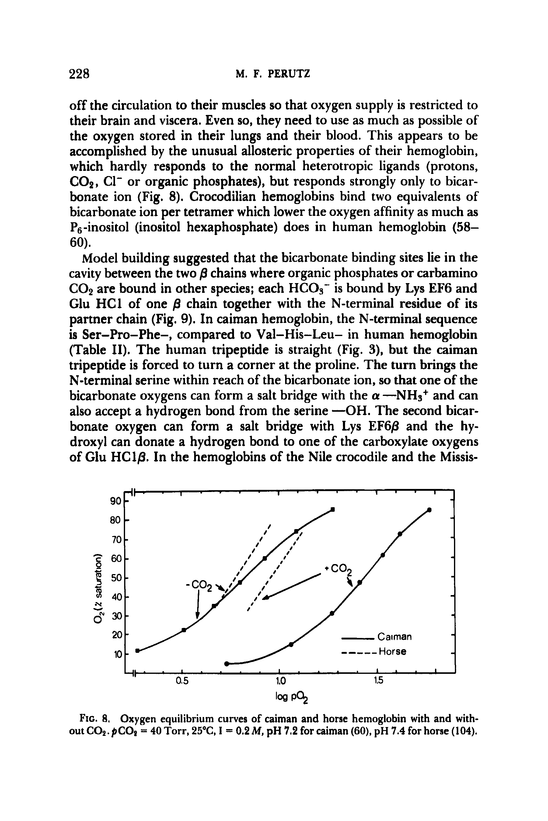 Fig. 8. Oxygen equilibrium curves of caiman and horse hemoglobin with and without C02. C0] = 40Torr, 25°C, I = 0.2 M, pH 7,2 for caiman (60), pH 7.4 for horse (104).