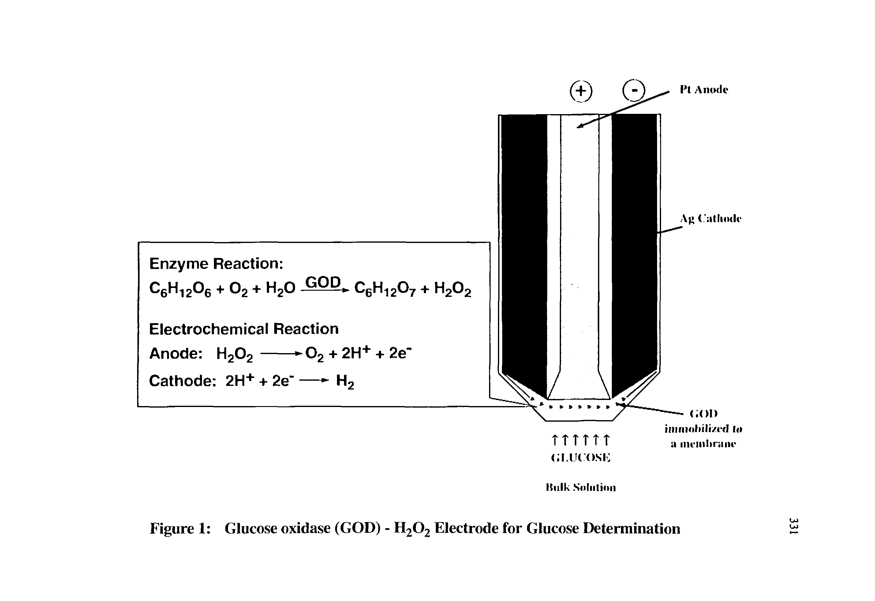 Figure 1 Glucose oxidase (GOD) - H202 Electrode for Glucose Determination...