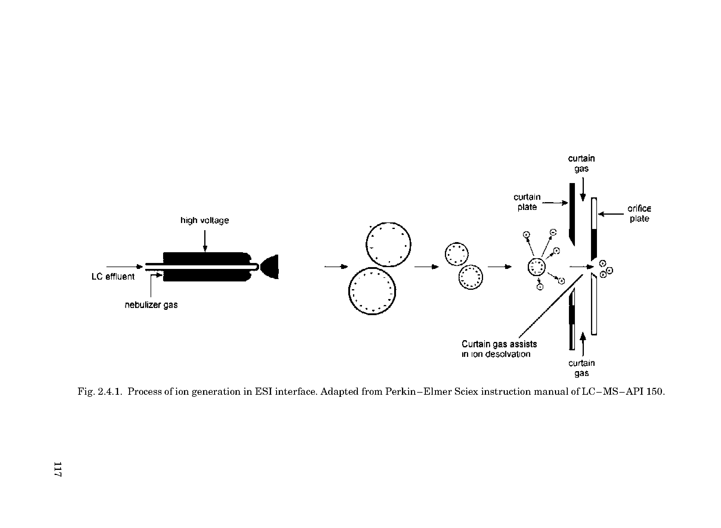 Fig. 2.4.1. Process of ion generation in ESI interface. Adapted from Perkin-Elmer Sciex instruction manual of LC-MS-API 150.