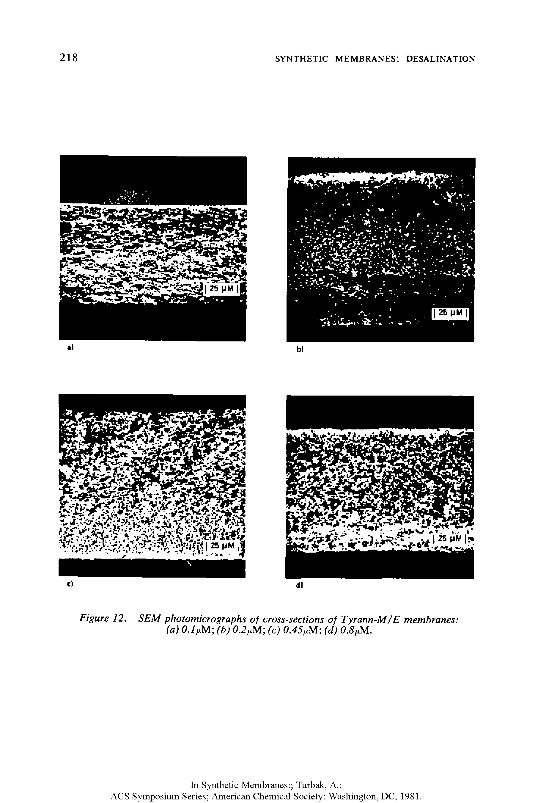 Figure 12, SEM photomicrographs of cross-sections of Tyrann-M/E membranes (a) (b) 0.2 M (c) 0A5pM (d) 0,8fM.