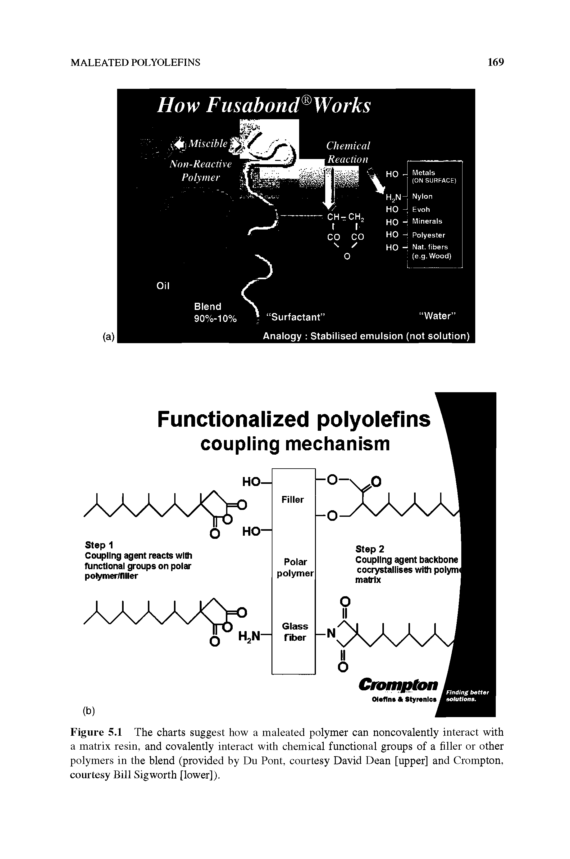 Figure 5.1 The charts suggest how a maleated polymer can noncovalently interact with a matrix resin, and covalently interact with chemical functional groups of a filler or other polymers in the blend (provided by Du Pont, courtesy David Dean [upper] and Crompton, courtesy Bill Sigworth [lower]).