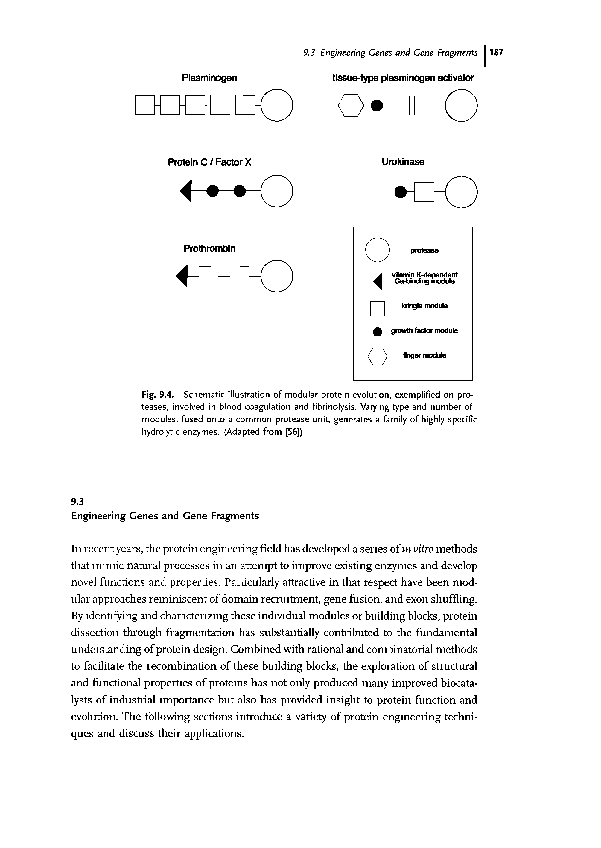 Fig. 9.4. Schematic illustration of modular protein evolution, exemplified on proteases, involved in blood coagulation and fibrinolysis. Varying type and number of modules, fused onto a common protease unit, generates a family of highly specific hydrolytic enzymes. (Adapted from [56])...