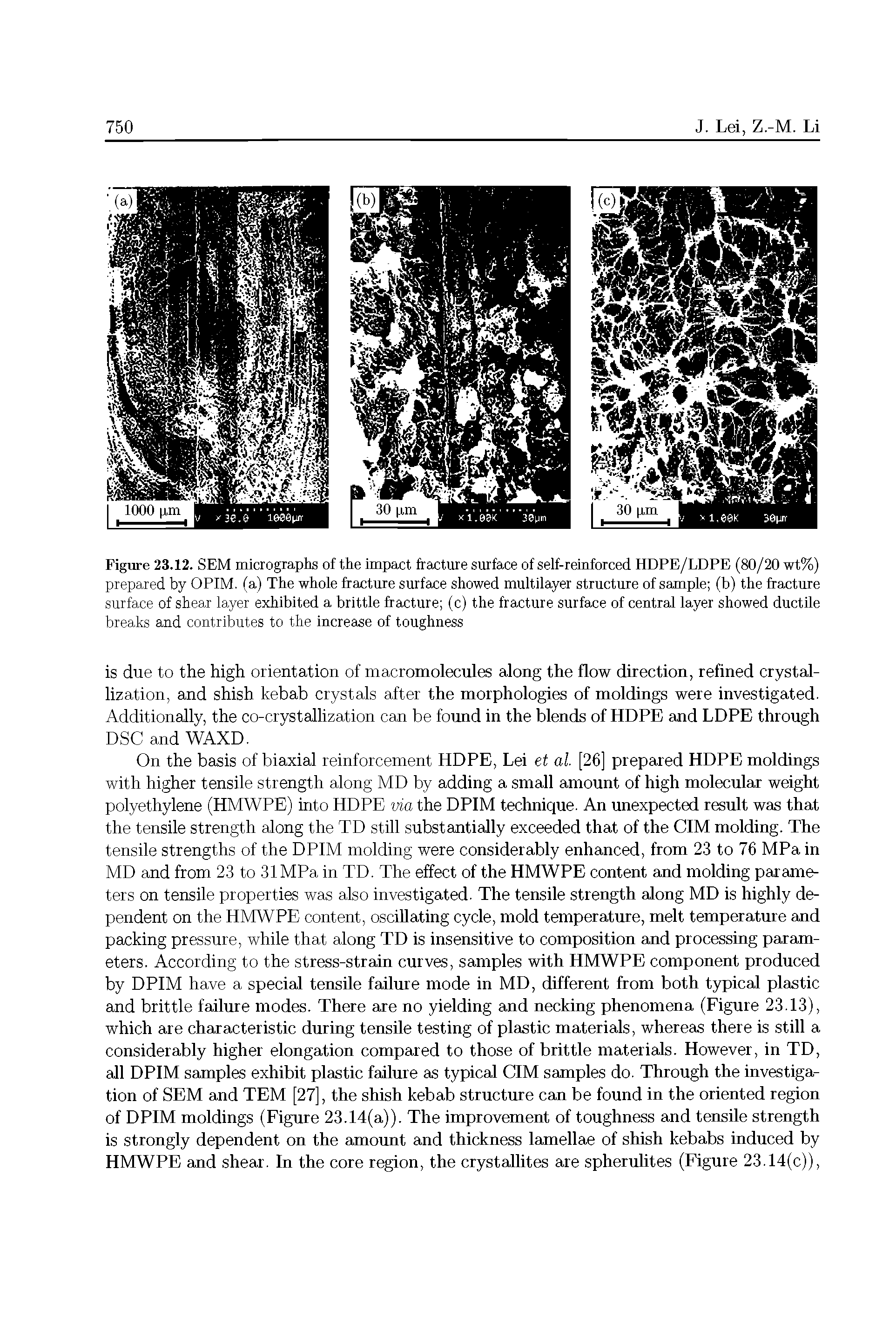 Figure 23.12. SEM micrographs of the impact fracture surface of self-reinforced HDPE/LDPE (80/20 wt%) prepared by OPIM. (a) The whole fracture surface showed multilayer structure of sample (b) the fracture surface of shear layer exhibited a brittle fracture (c) the fracture surface of central layer showed ductile breaks and contributes to the increase of toughness...