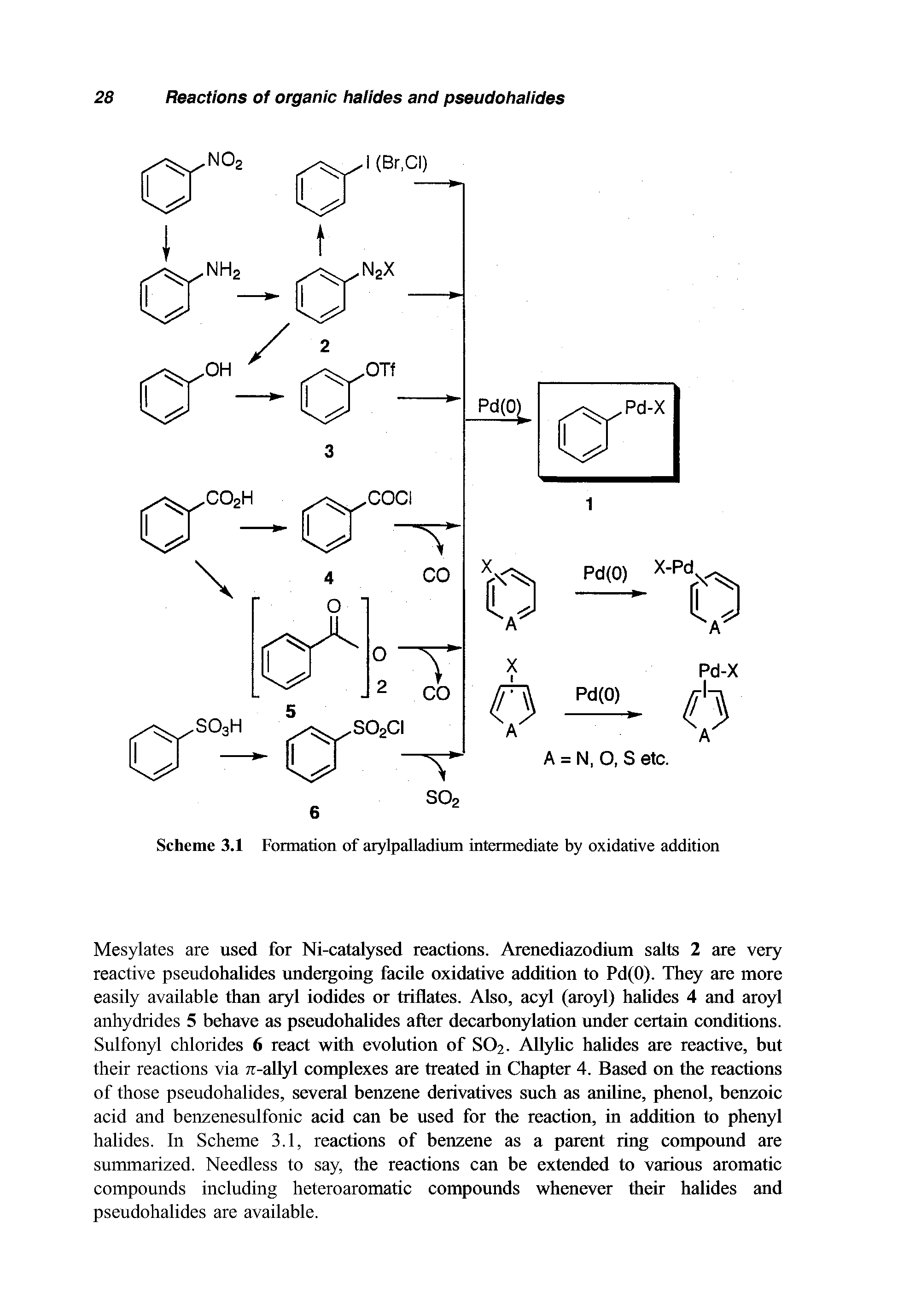 Scheme 3.1 Formation of arylpalladium intermediate by oxidative addition...