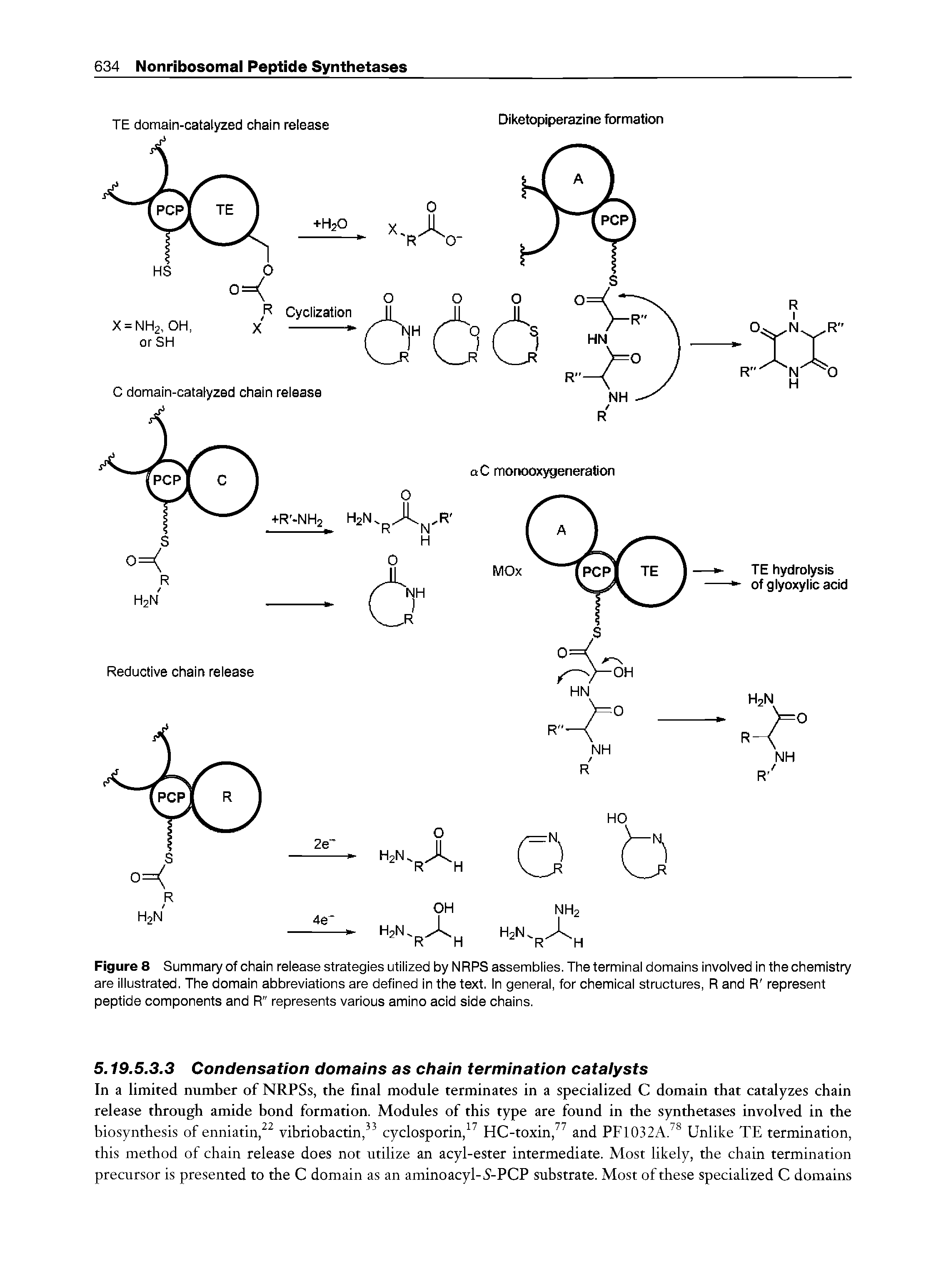 Figure 8 Summary of chain release strategies utilized by NRPS assemblies. The terminal domains involved in the chemistry are illustrated. The domain abbreviations are defined in the text, in general, for chemical structures, R and R represent peptide components and R" represents various amino acid side chains.
