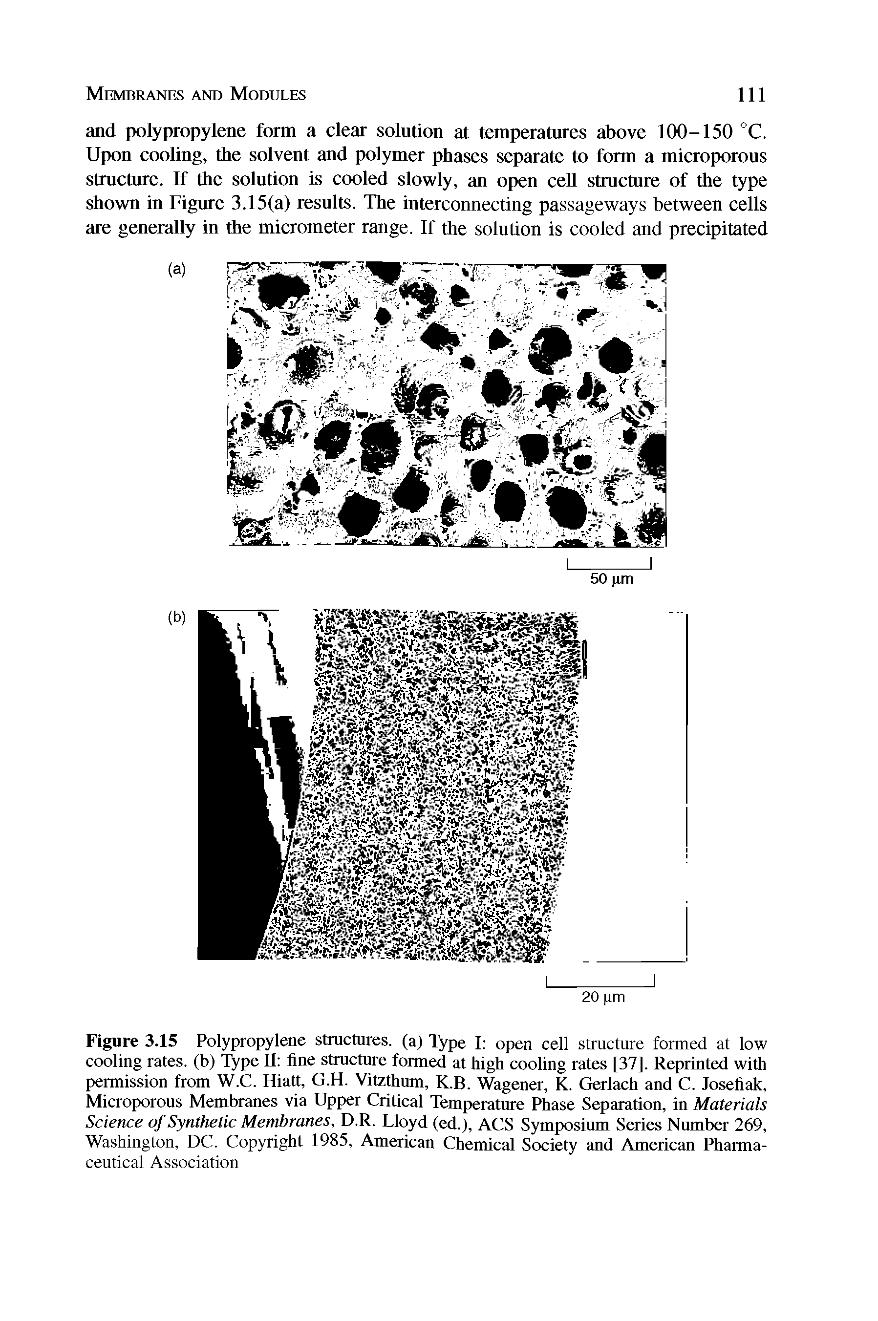 Figure 3.15 Polypropylene structures, (a) Type I open cell structure formed at low cooling rates, (b) Type II fine structure formed at high cooling rates [37]. Reprinted with permission from W.C. Hiatt, G.H. Vitzthum, K.B. Wagener, K. Gerlach and C. Josefiak, Microporous Membranes via Upper Critical Temperature Phase Separation, in Materials Science of Synthetic Membranes, D.R. Lloyd (ed.), ACS Symposium Series Number 269, Washington, DC. Copyright 1985, American Chemical Society and American Pharmaceutical Association...