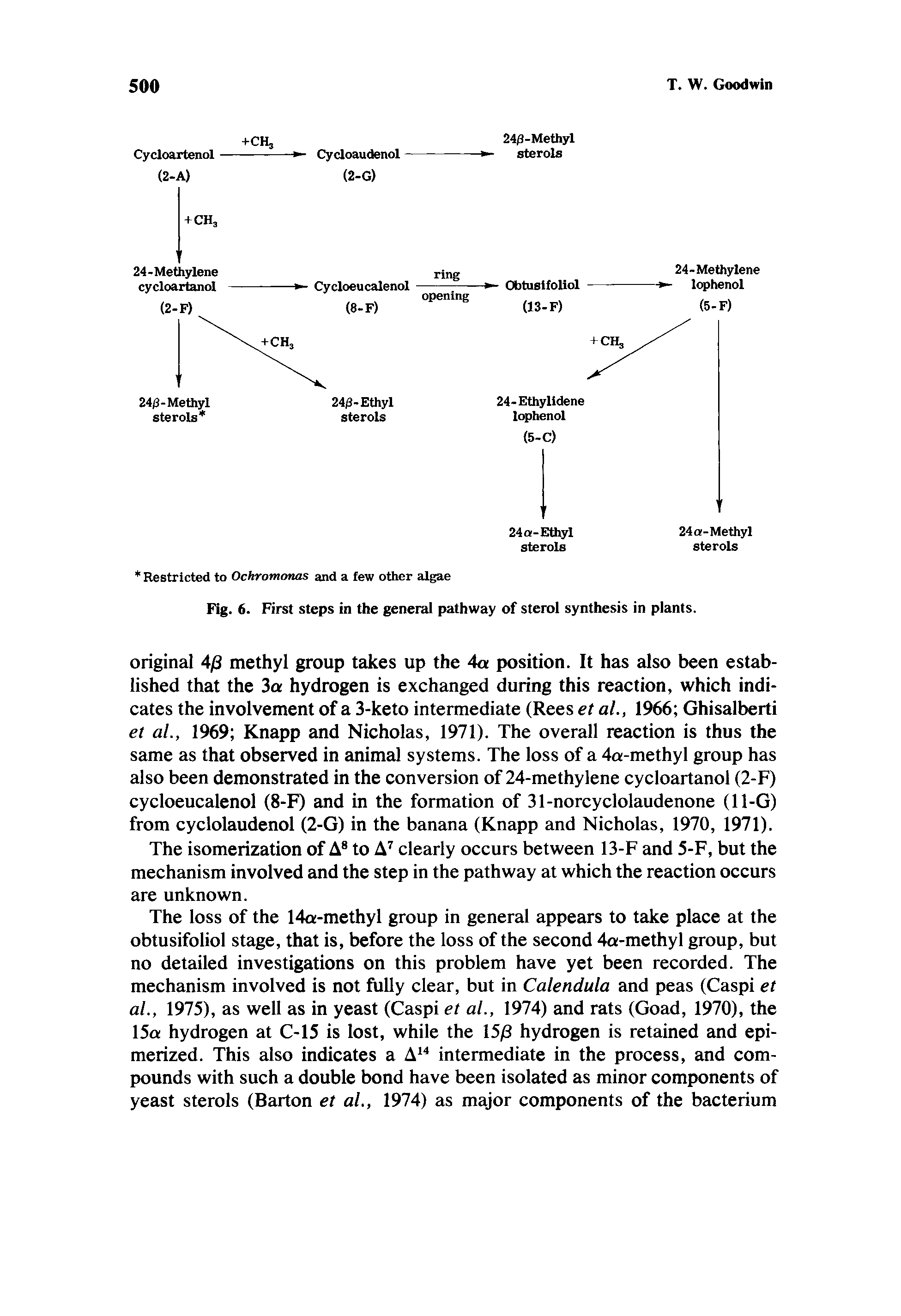 Fig. 6. First steps in the general pathway of sterol synthesis in plants.