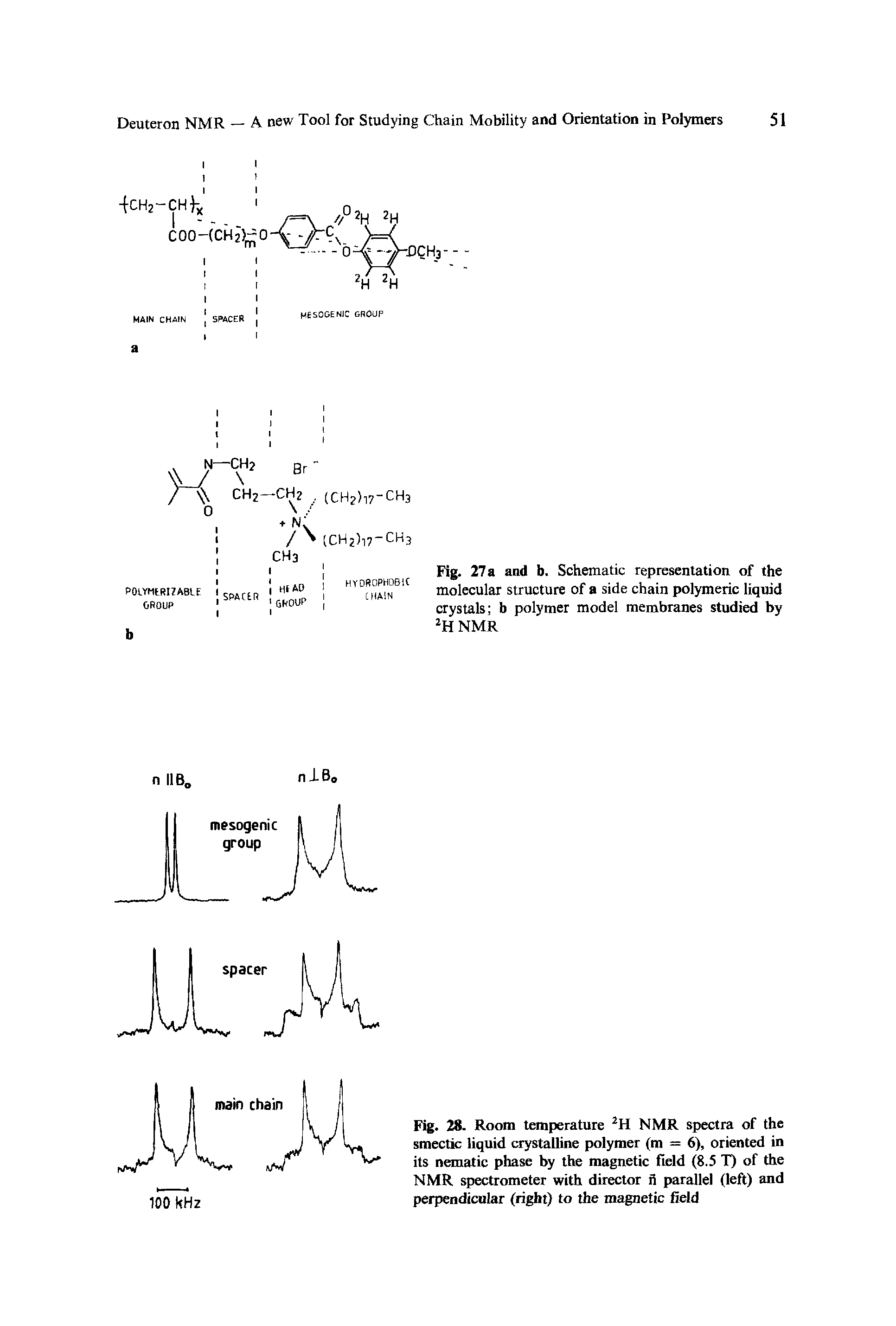 Fig. 28. Room temperature 2H NMR spectra of the smectic liquid crystalline polymer (m = 6), oriented in its nematic phase by the magnetic field (8.5 T) of the NMR spectrometer with director ii parallel (left) and perpendicular (right) to the magnetic field...