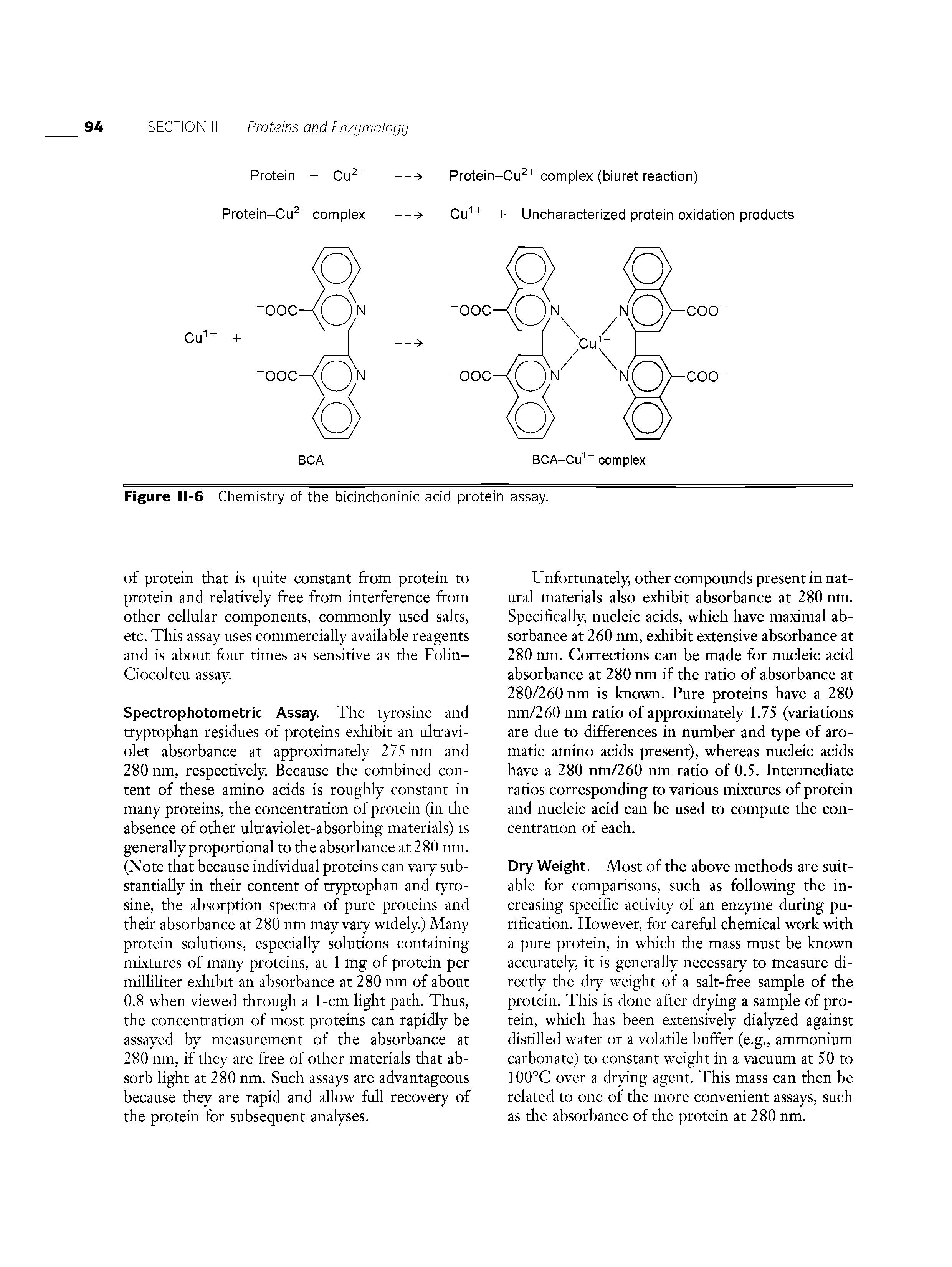 Figure II-6 Chemistry of the bicinchoninic acid protein assay.