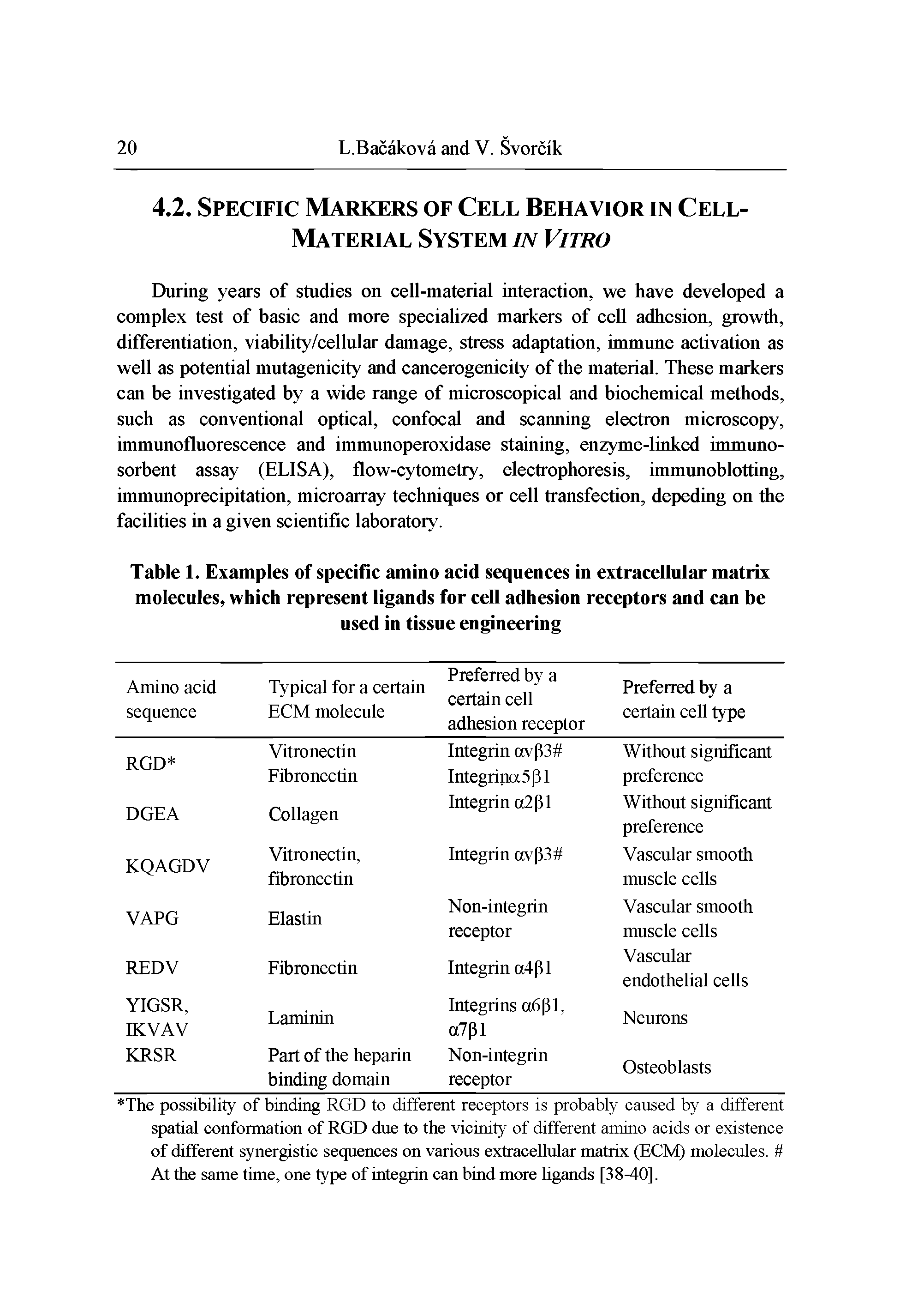 Table L Examples of specific amino acid sequences in extracellular matrix molecules, which represent ligands for cell adhesion receptors and can be used in tissue engineering...